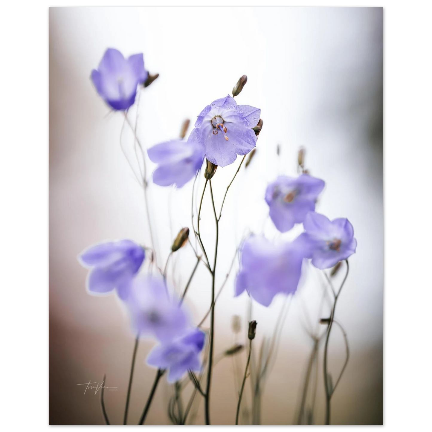 e0a5dd32-8c17-4aa6-94c1-924d03f9d253