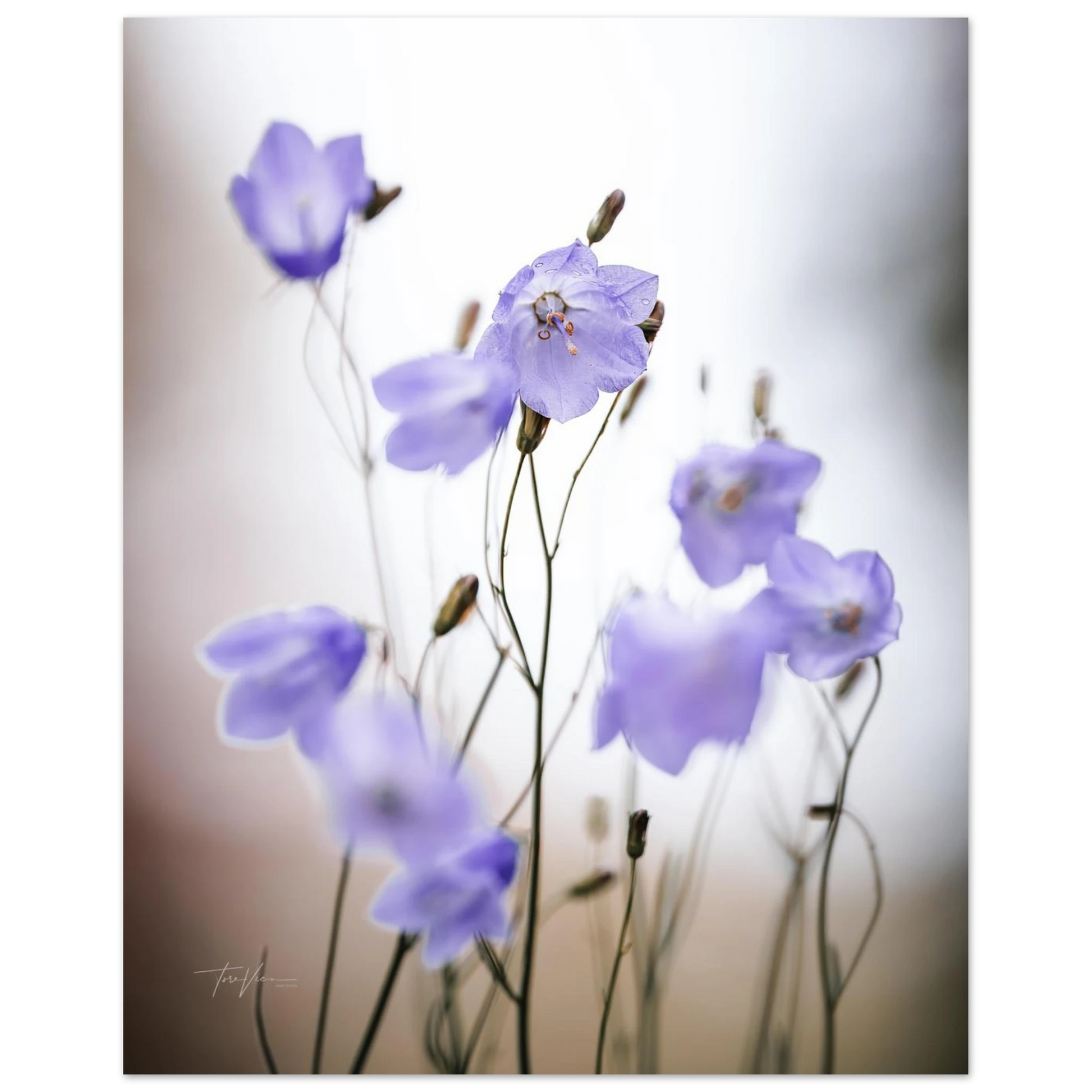 e0a5dd32-8c17-4aa6-94c1-924d03f9d253