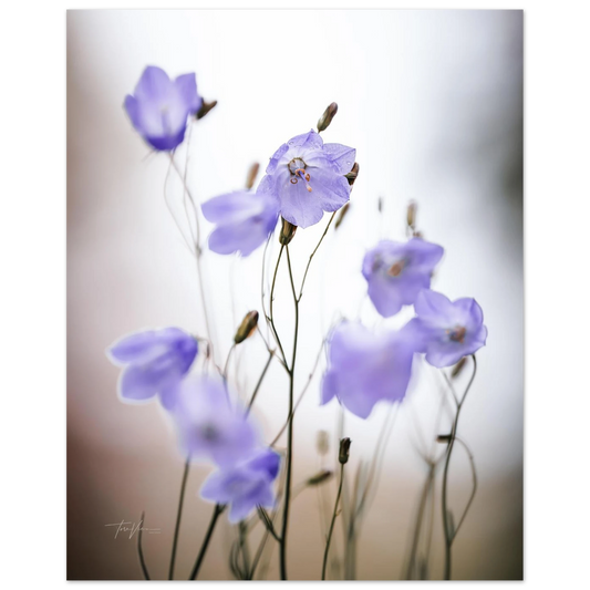 e0a5dd32-8c17-4aa6-94c1-924d03f9d253