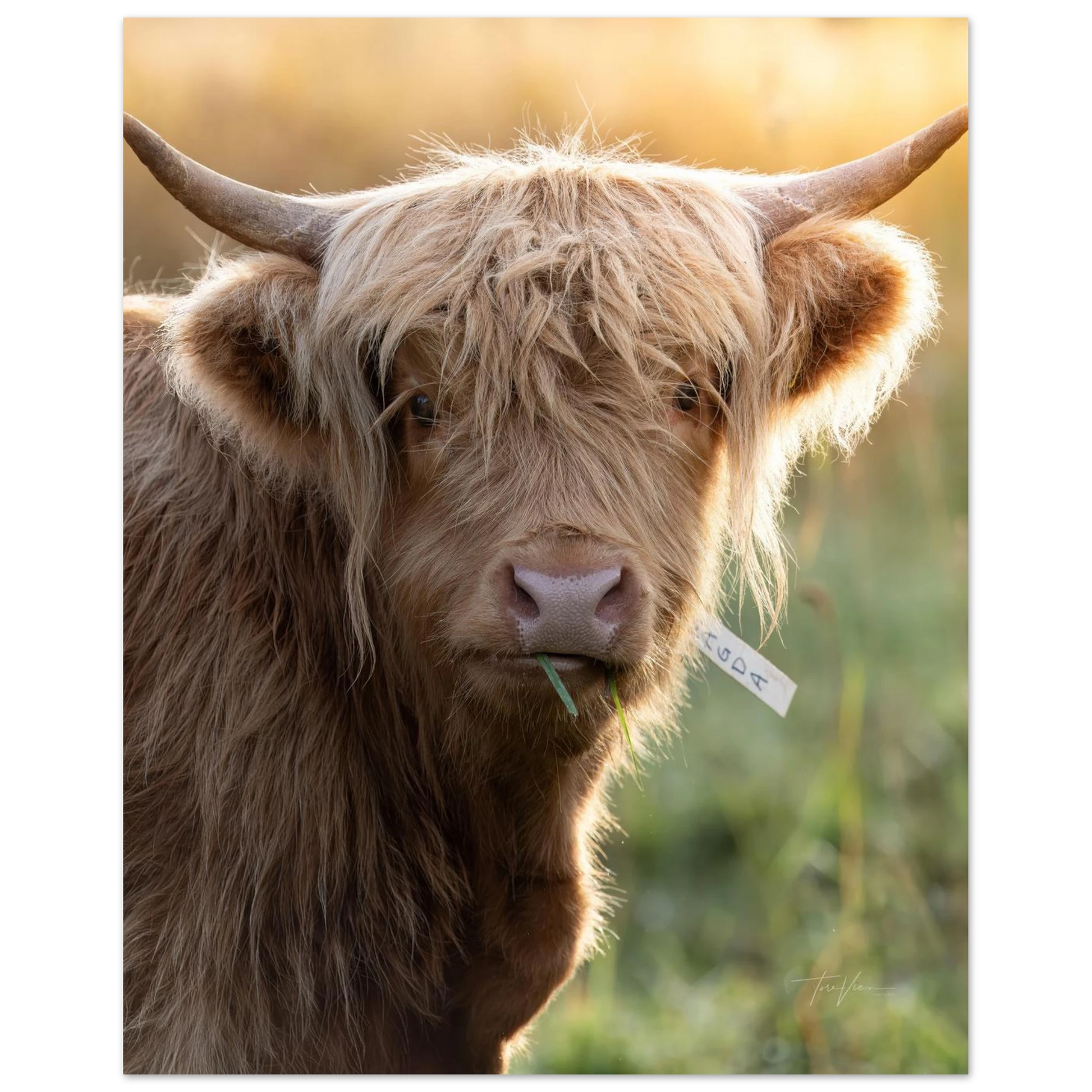 e0b0f5b0-3820-4e65-a8db-12408aabd4e5