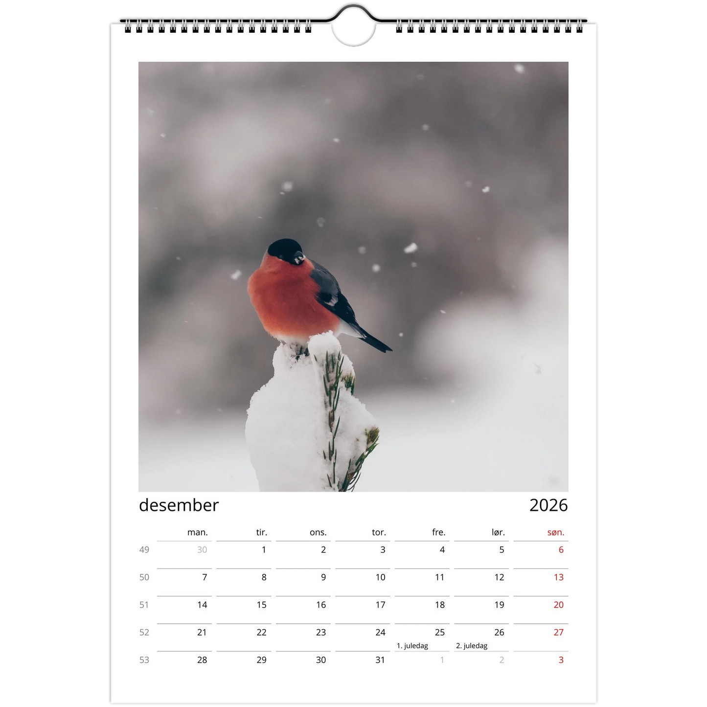 e17050b4-bdc9-4957-b3ea-4d73ad9a8e00