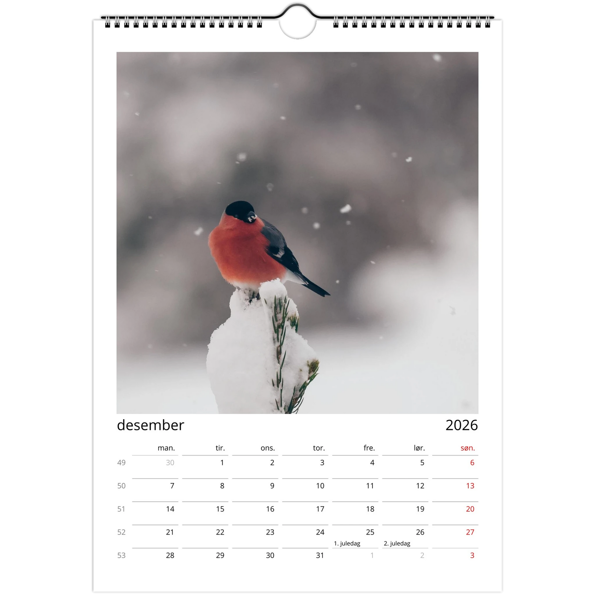 e17050b4-bdc9-4957-b3ea-4d73ad9a8e00