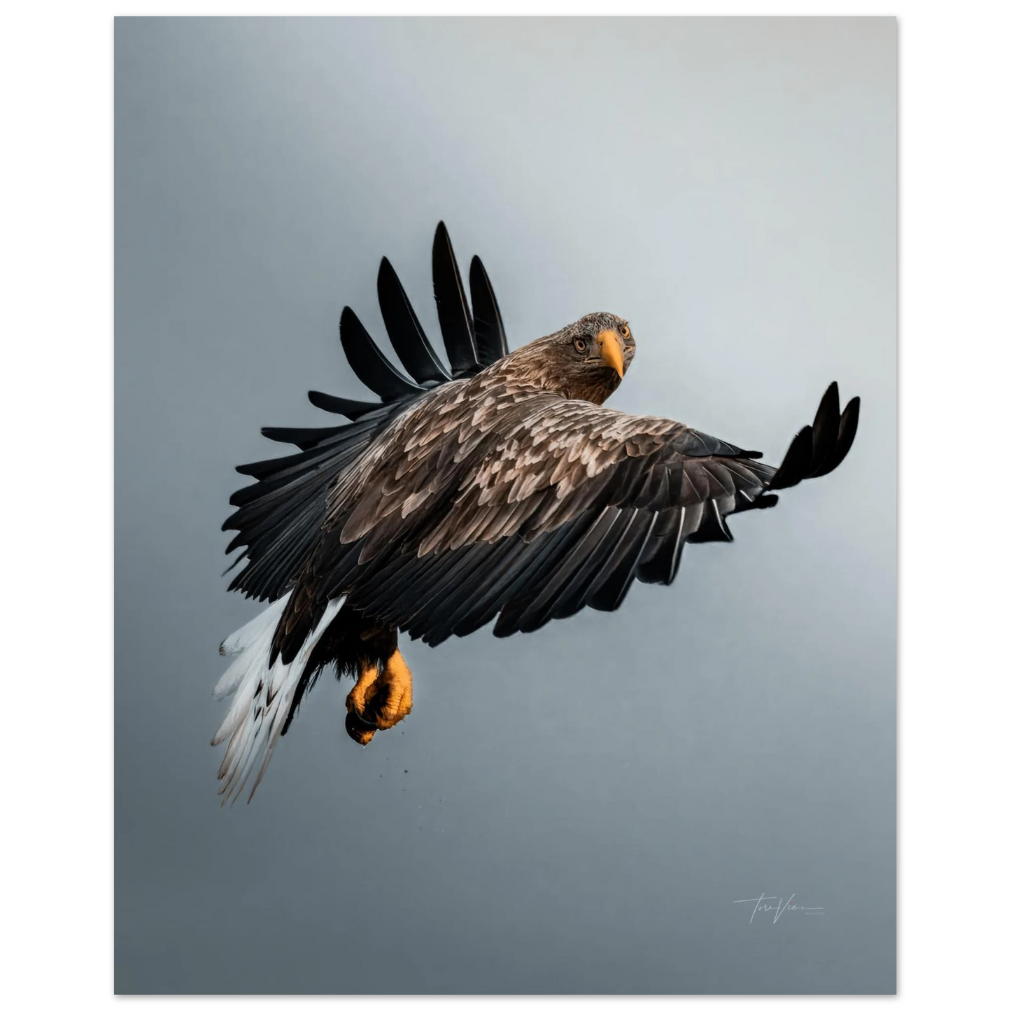 e199150d-a10a-4f01-aed5-d8d7f633b978