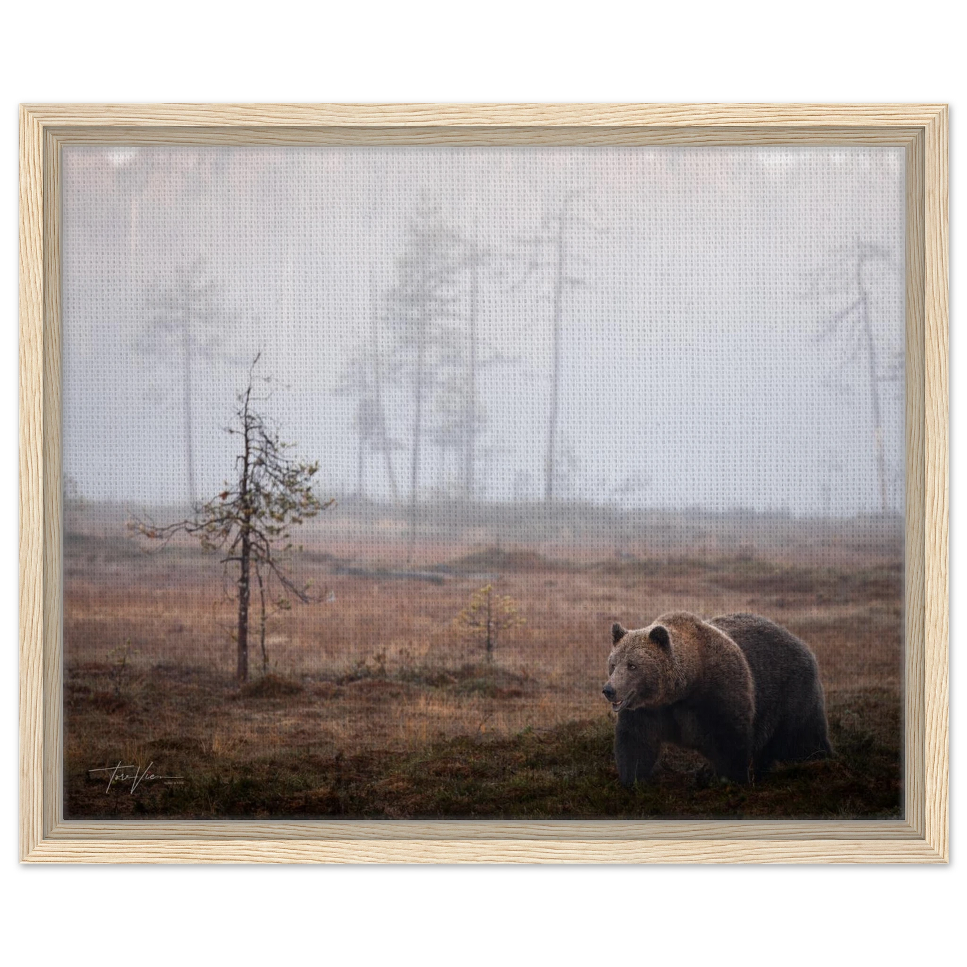 e1ec8e88-b6df-463d-83ec-55c4ce861f61