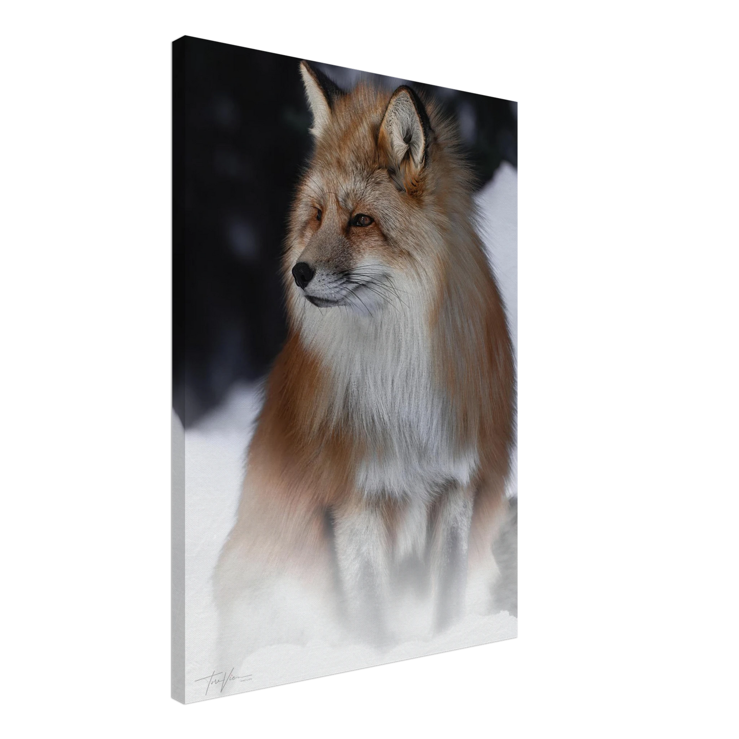 e244f647-a08f-4296-b825-c03da91845d4