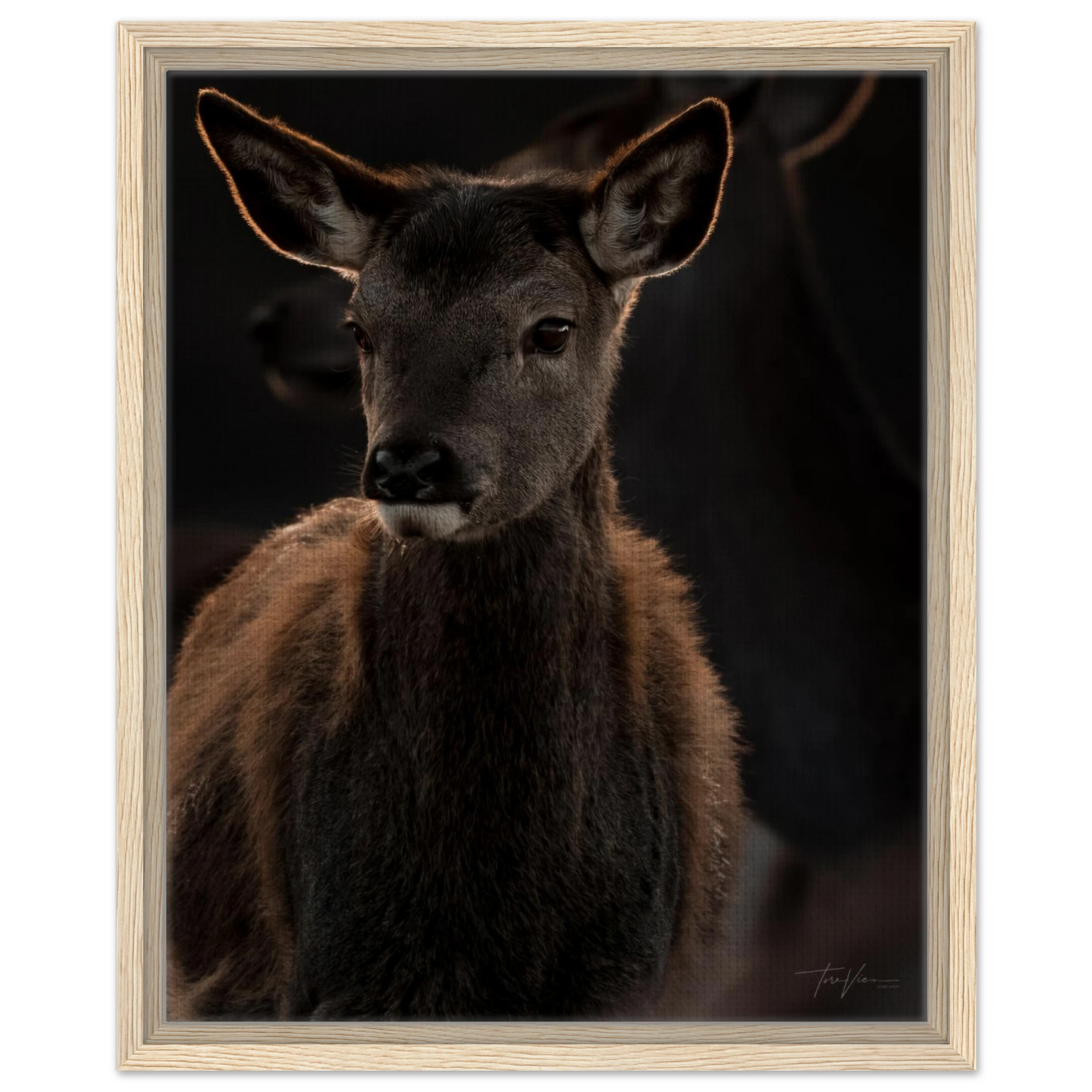 e39f6862-0867-4f68-b458-2787c3762dc1