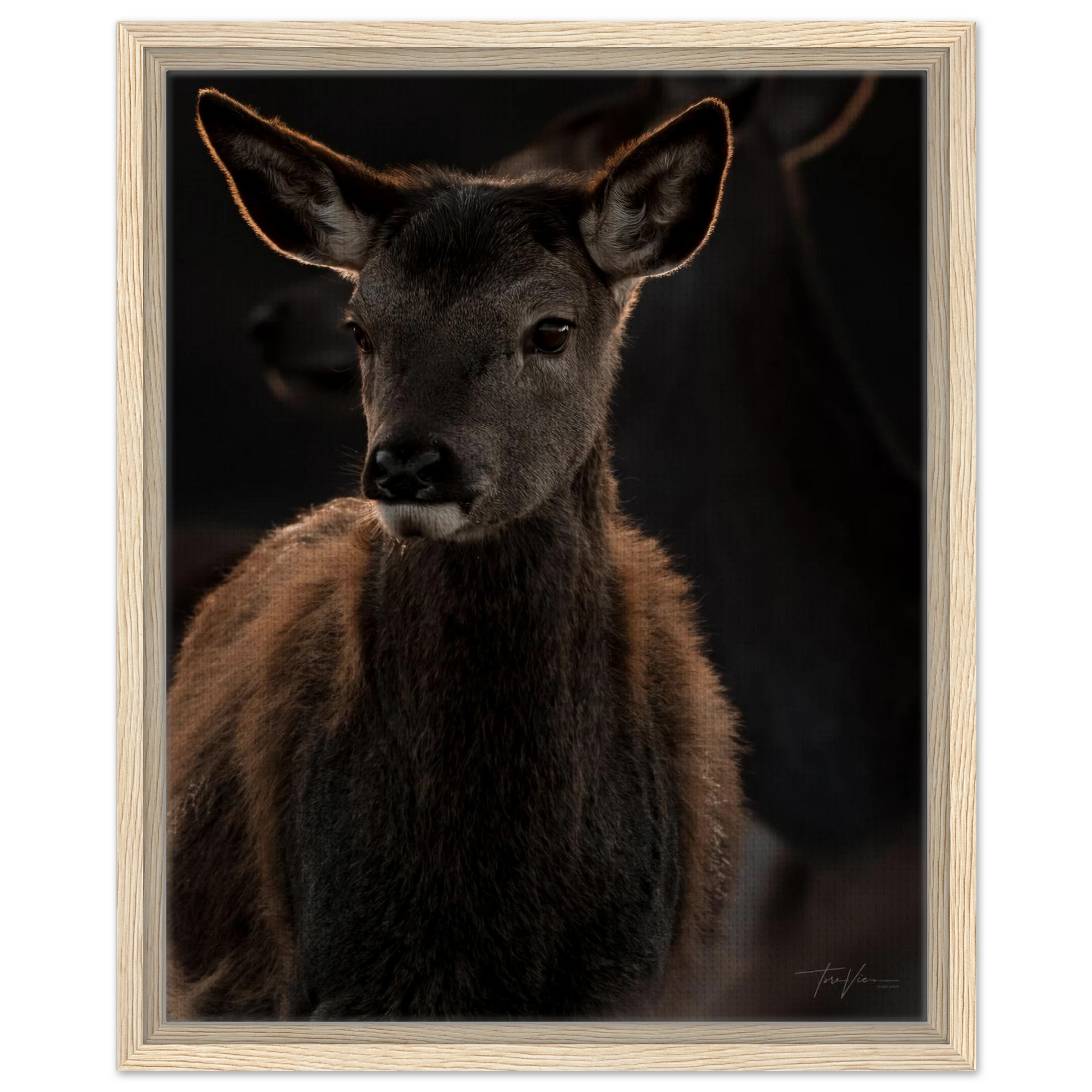 e39f6862-0867-4f68-b458-2787c3762dc1