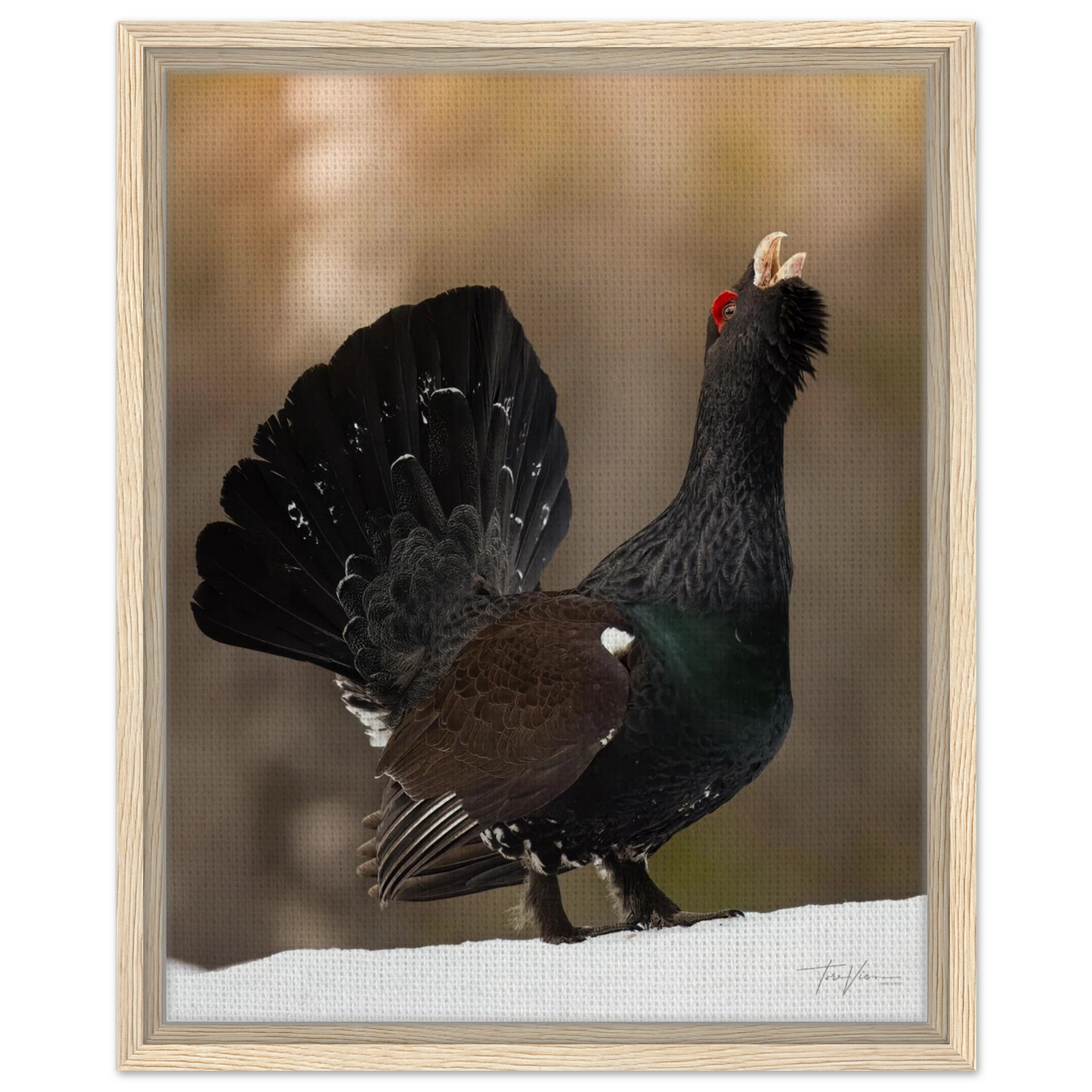 e43e0b9c-f910-4c58-8332-b6955ffa4ffe