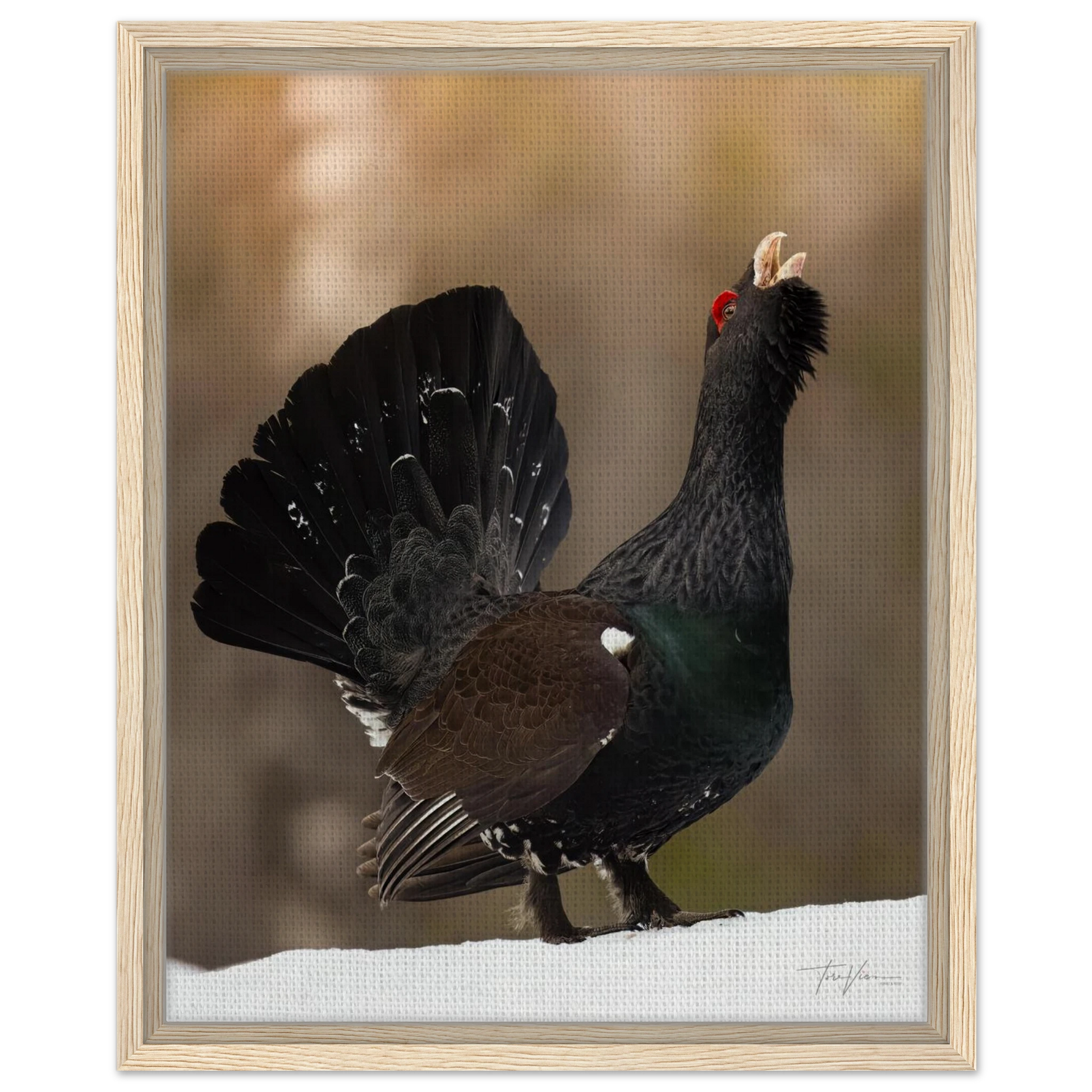 e43e0b9c-f910-4c58-8332-b6955ffa4ffe