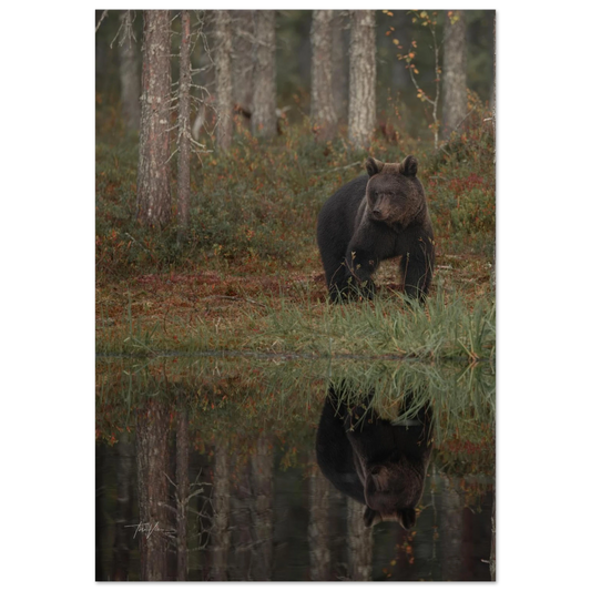 e4bed4fb-c6df-44ec-aedf-baaf39377049