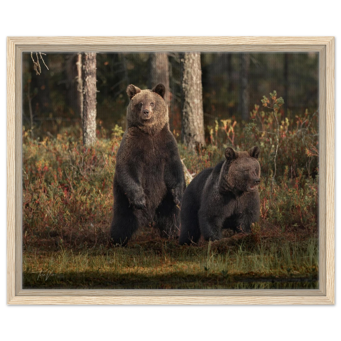 e52e9729-c764-4752-9aa1-f8dad0788023