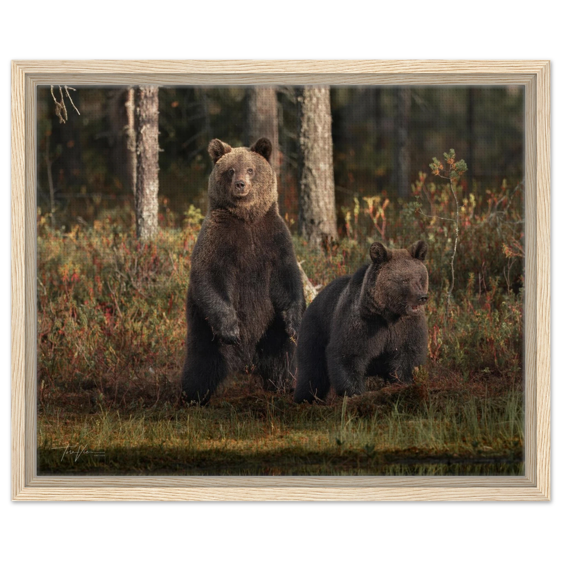 e52e9729-c764-4752-9aa1-f8dad0788023