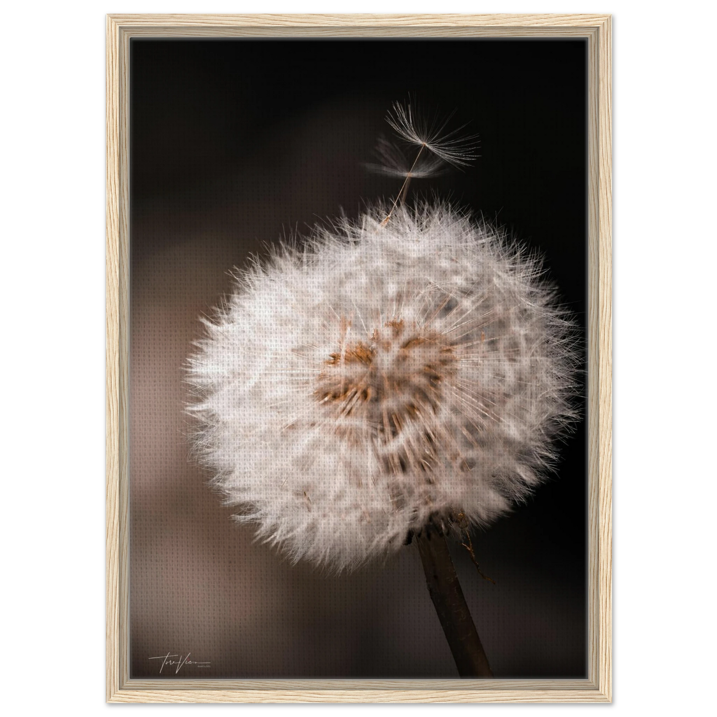 e56994fa-3a95-4e98-89c7-96a4f07b96fb