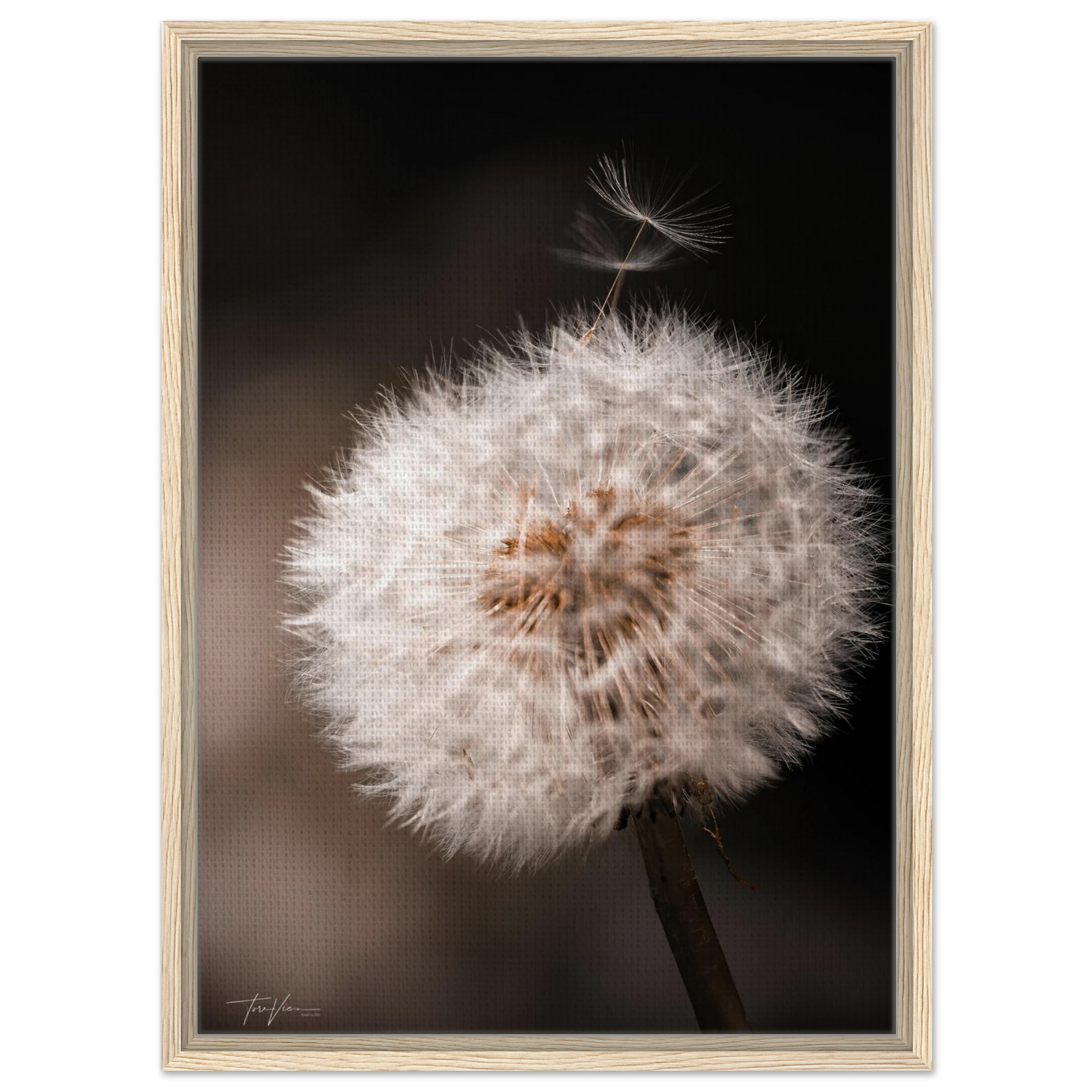 e56994fa-3a95-4e98-89c7-96a4f07b96fb