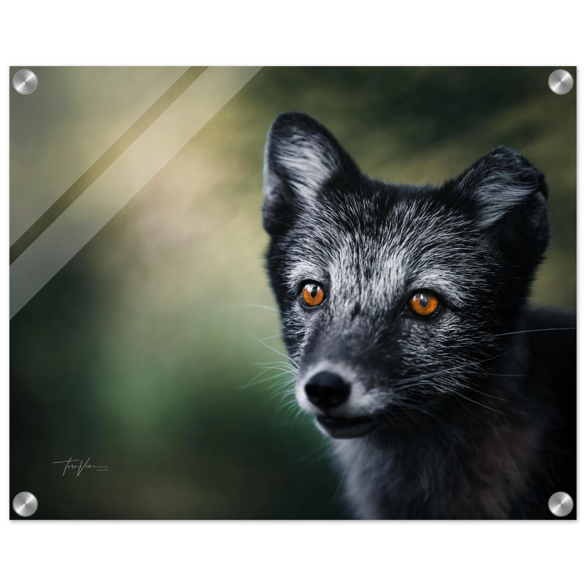 e5c0e075-b087-41d4-9d7c-d5afc78c6905