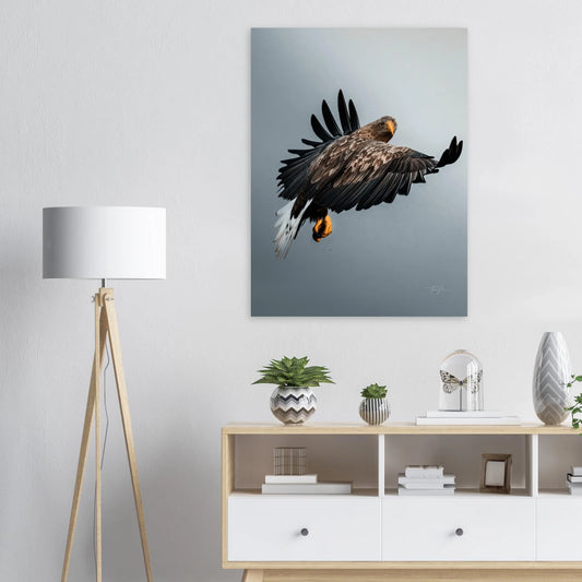 e5ce34c9-1d8f-4ca4-a82a-771830441c4e