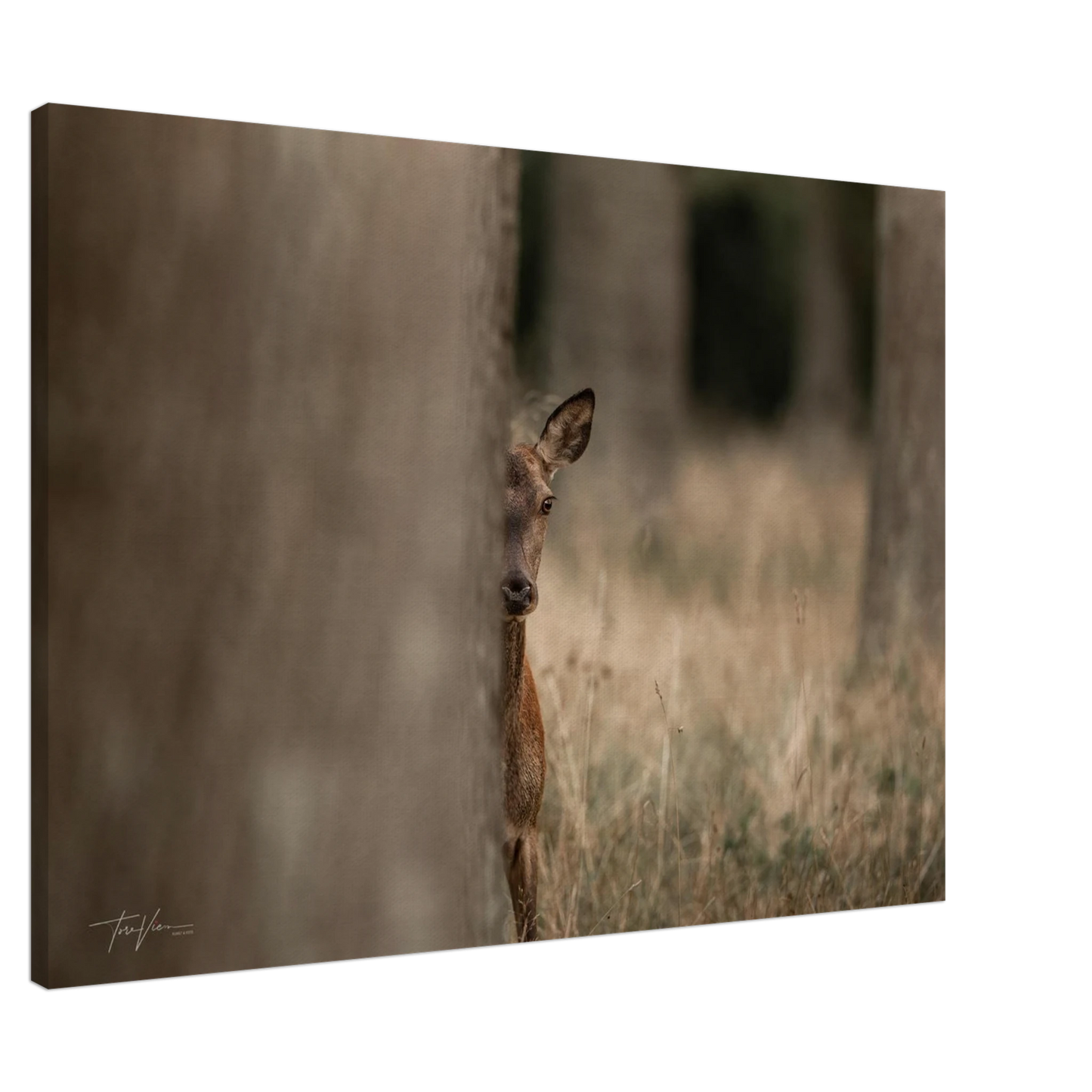 e6b0a222-4c09-48ff-bdd4-b30287c391d4