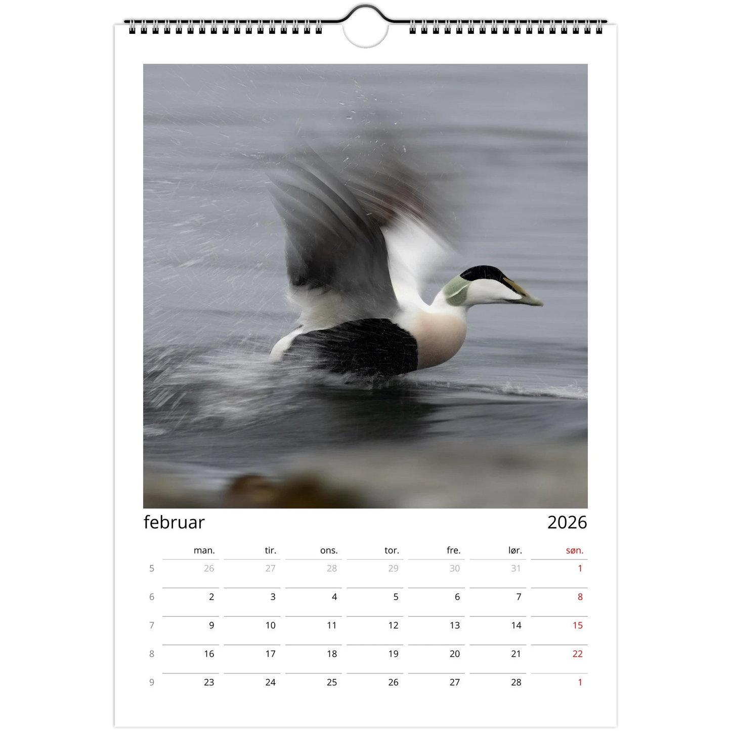 e6bf946d-c217-48fd-ae1f-b163286d9b0e