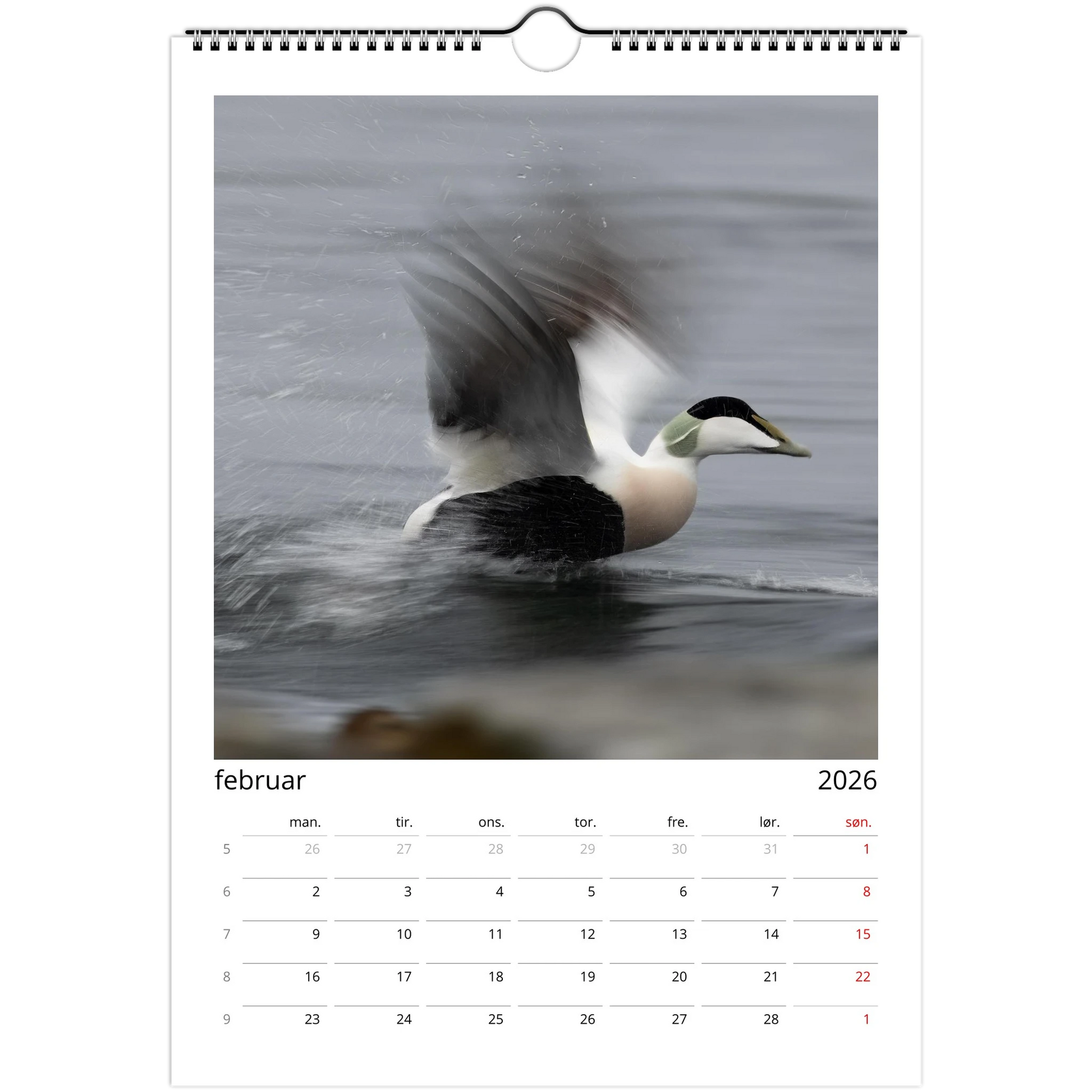 e6bf946d-c217-48fd-ae1f-b163286d9b0e