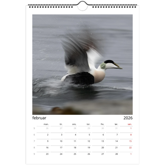 e6bf946d-c217-48fd-ae1f-b163286d9b0e