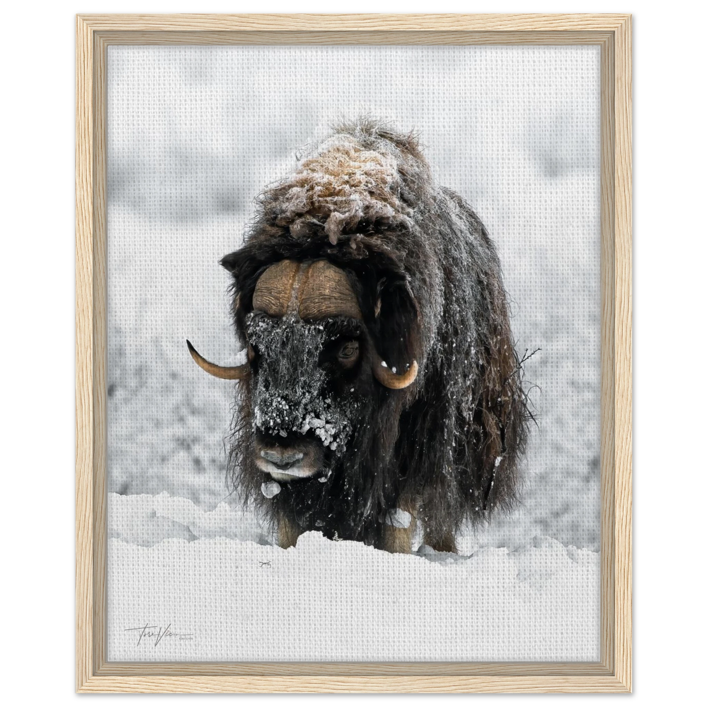 e6fa2ba8-9bfd-48ad-9d05-9d5f3a120e08