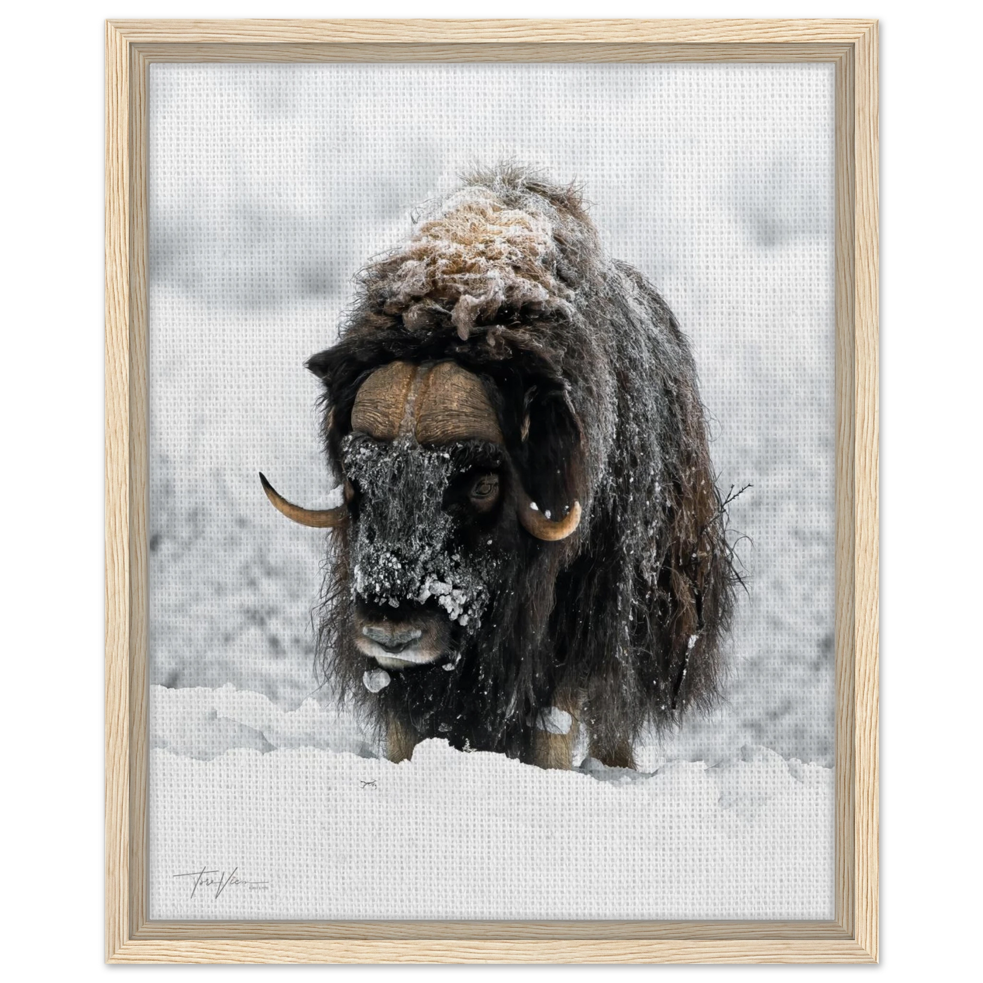 e6fa2ba8-9bfd-48ad-9d05-9d5f3a120e08