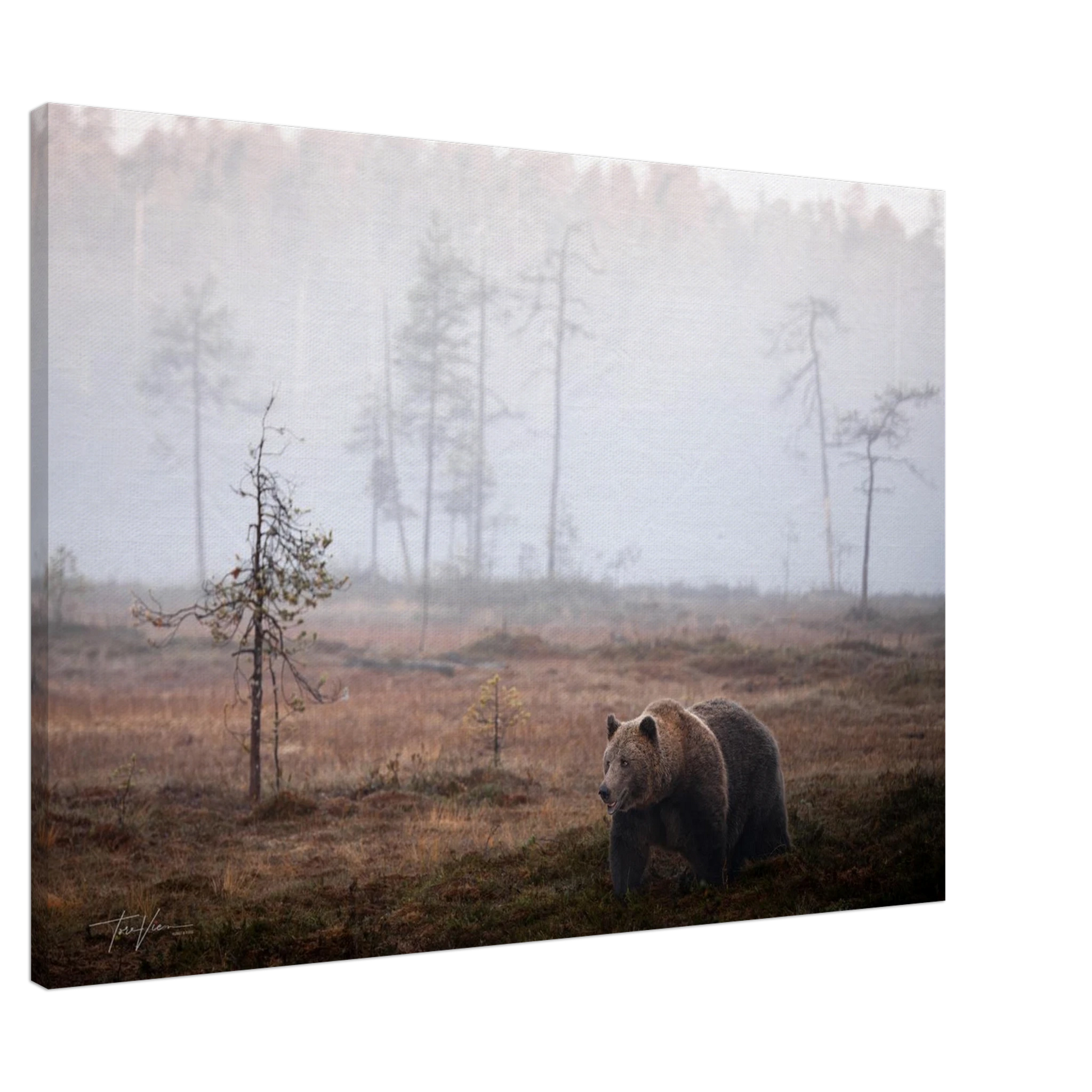 e7810ddc-4481-4ce7-beca-69f50ab367da