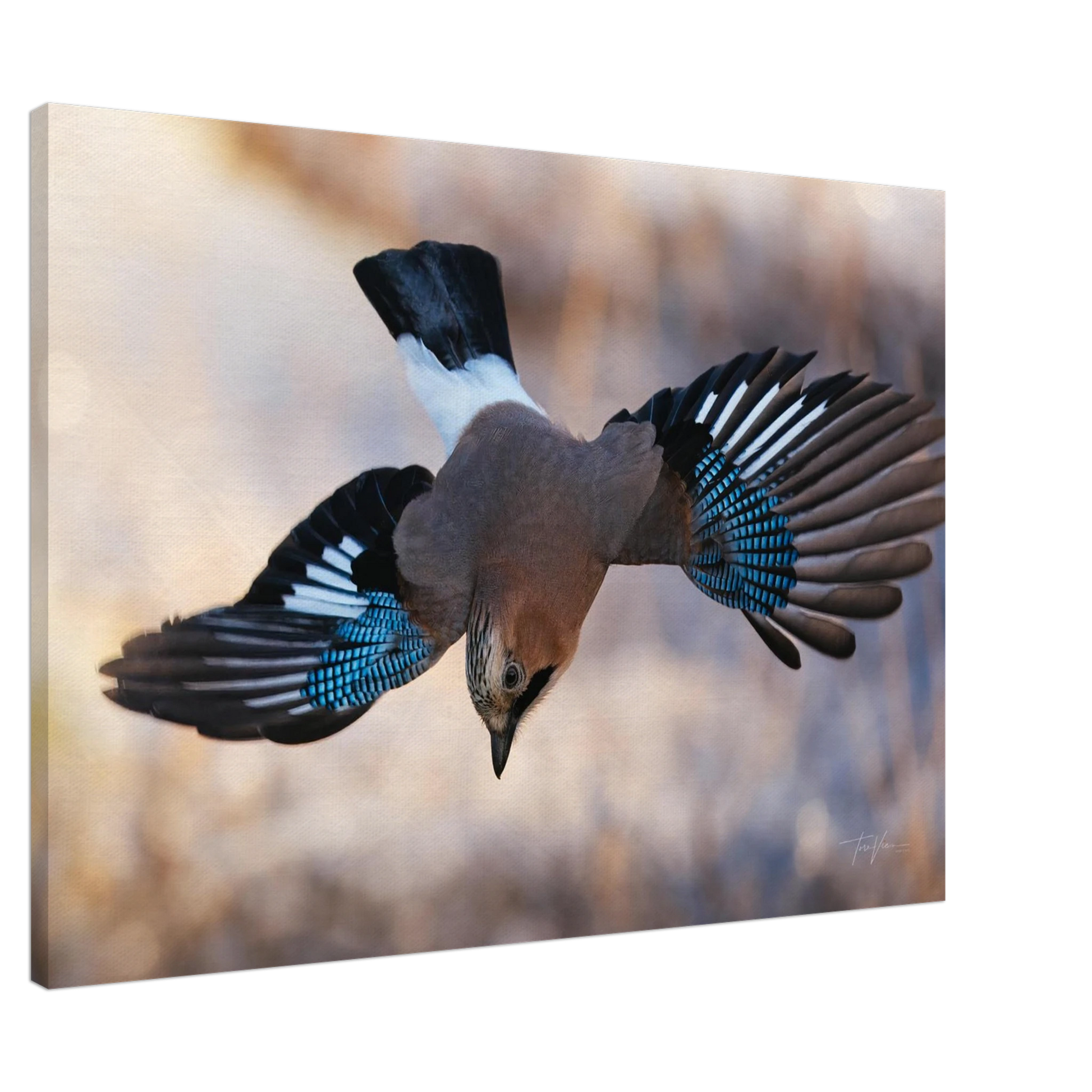 e782b295-fce8-4b5a-9278-e474a9170fe5