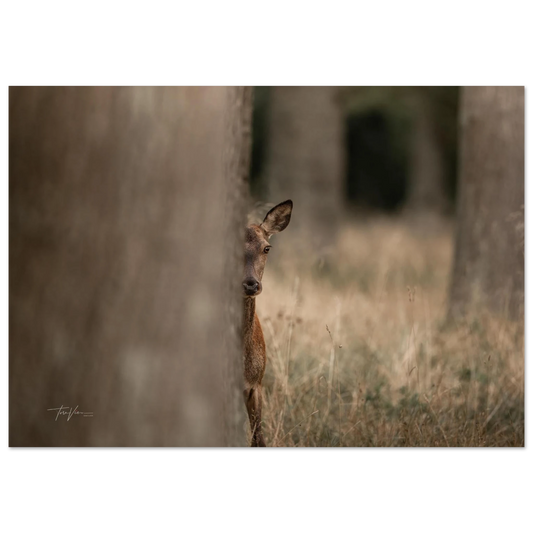 e8b58210-8157-455d-a268-640ba9bd2cbf