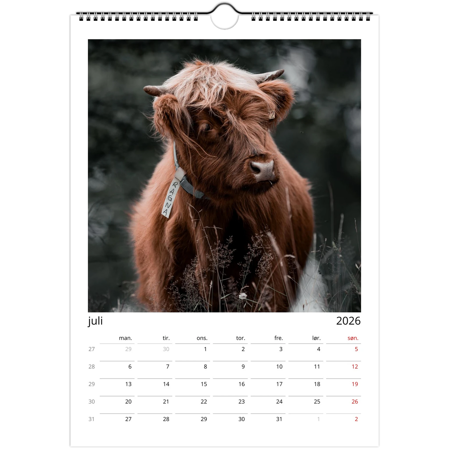 e90adf73-32e5-4d88-bd2b-0a3da7241a39