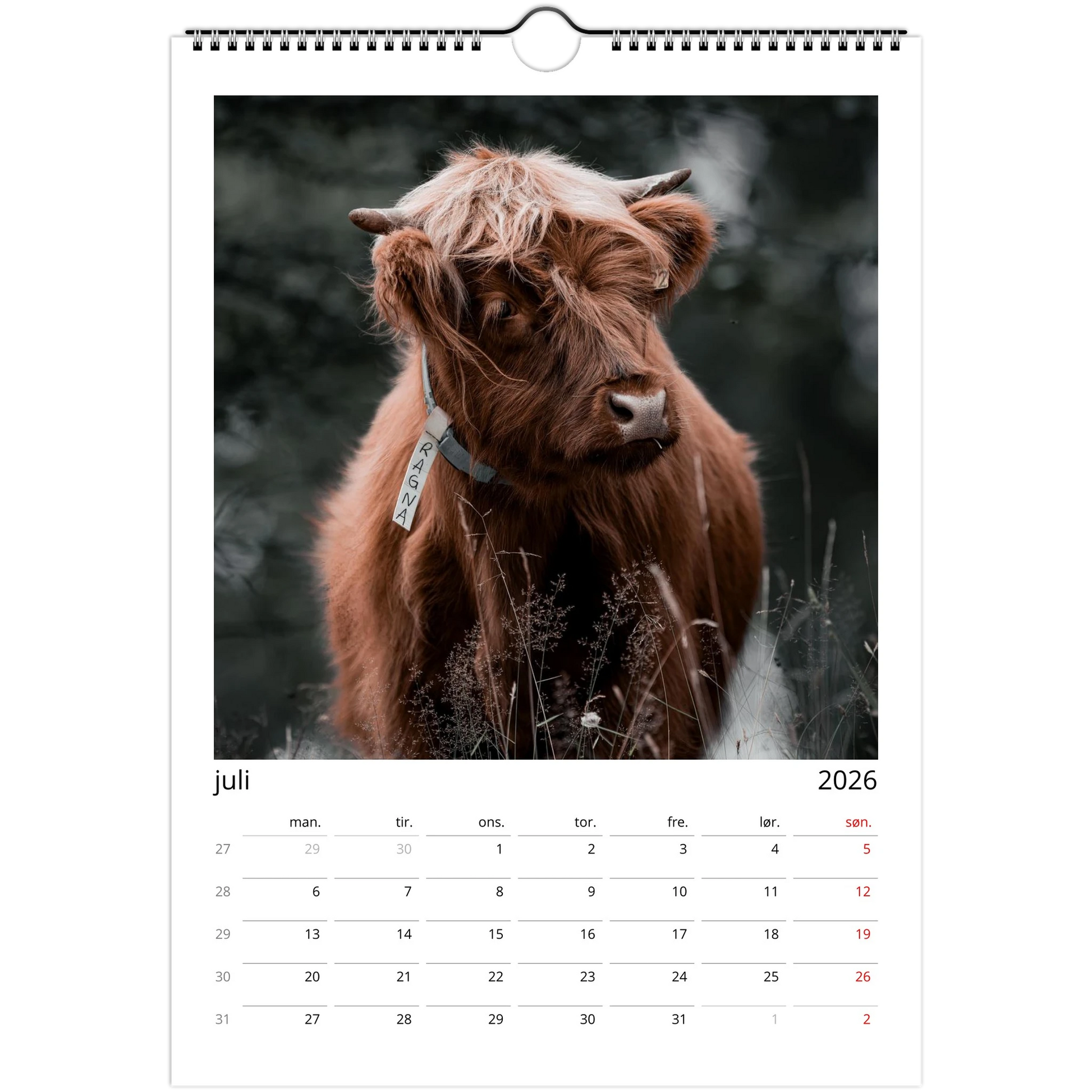 e90adf73-32e5-4d88-bd2b-0a3da7241a39