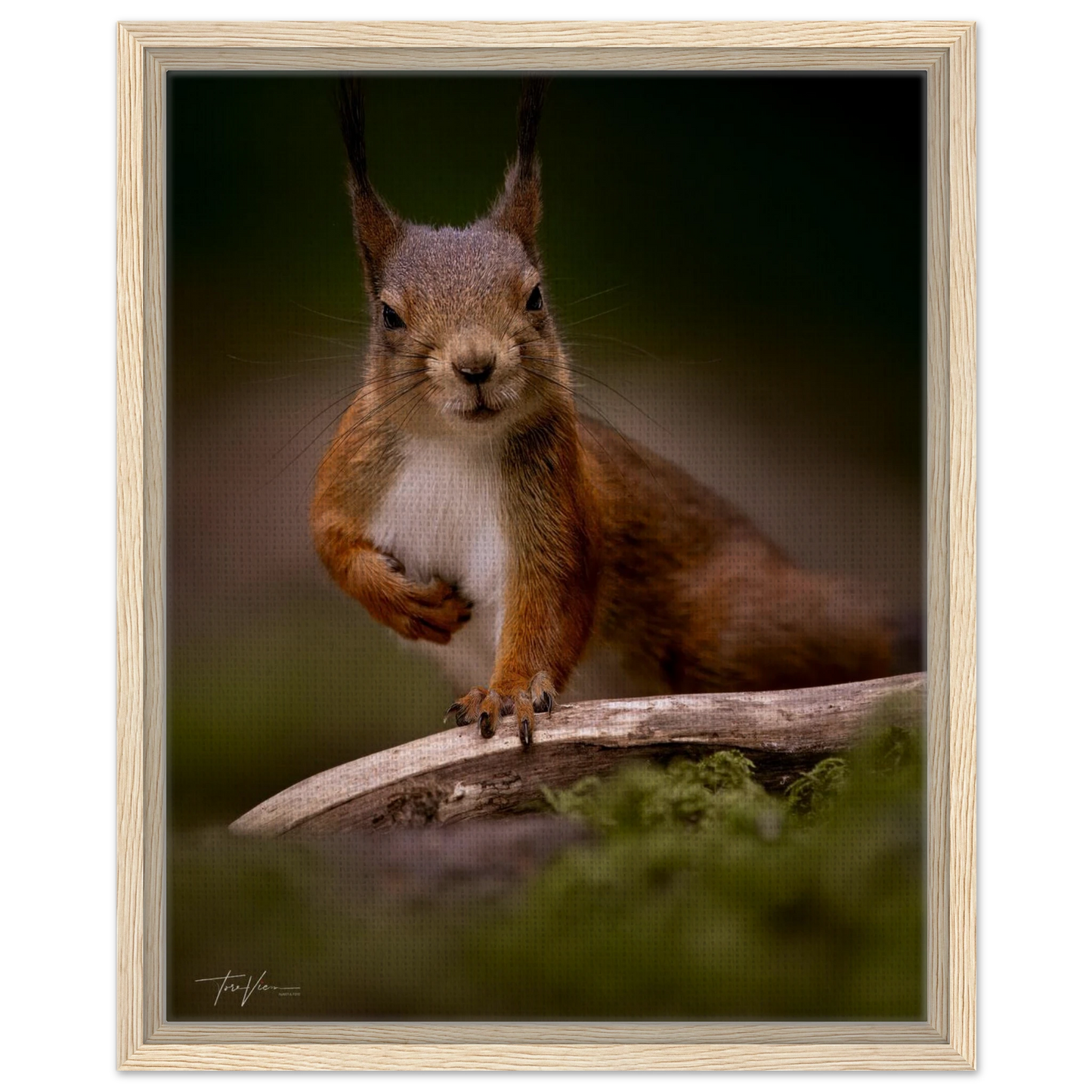 ea1b7e95-8301-4144-a923-b27baf37937f