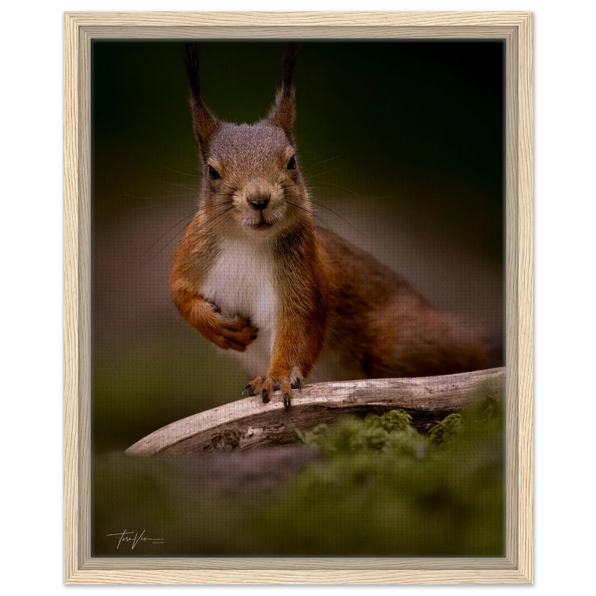 ea1b7e95-8301-4144-a923-b27baf37937f