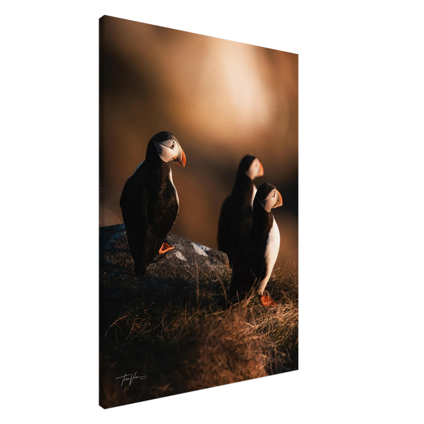 eacaa672-033a-48f7-b2ed-59c5128255e6