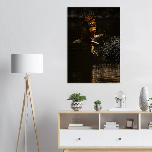 ebe285dc-cd40-44b7-9201-1f5b96e5bcad