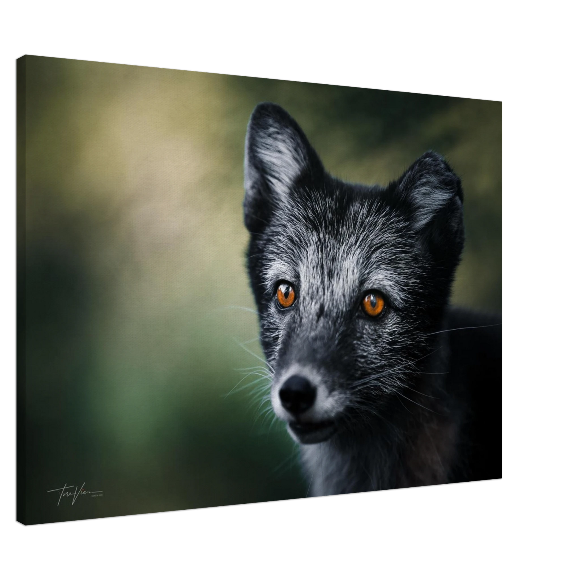 ed306fa5-41f8-4a9d-9ade-6a32bea23570