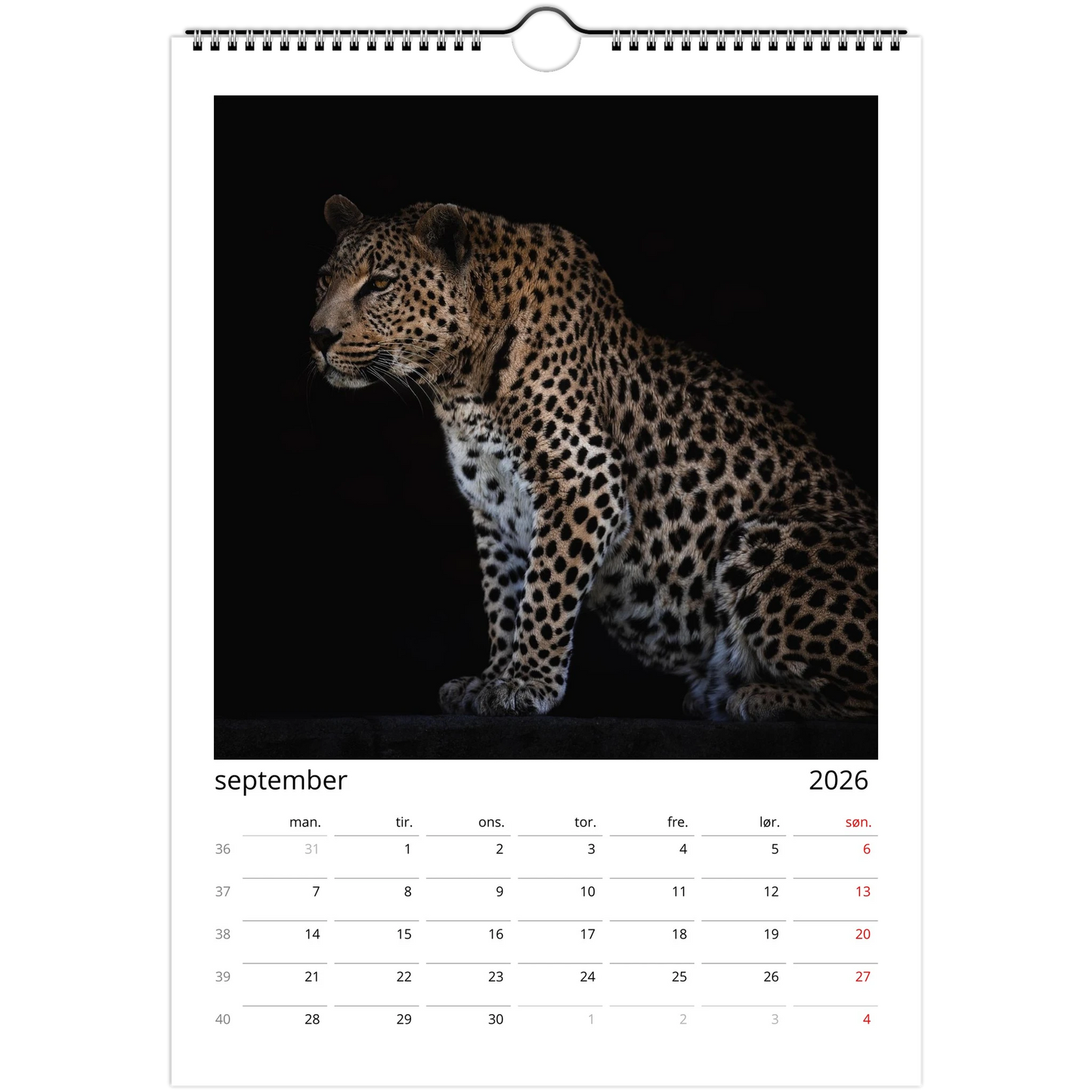 edc14b33-a460-4cea-8e5b-23339daf2365