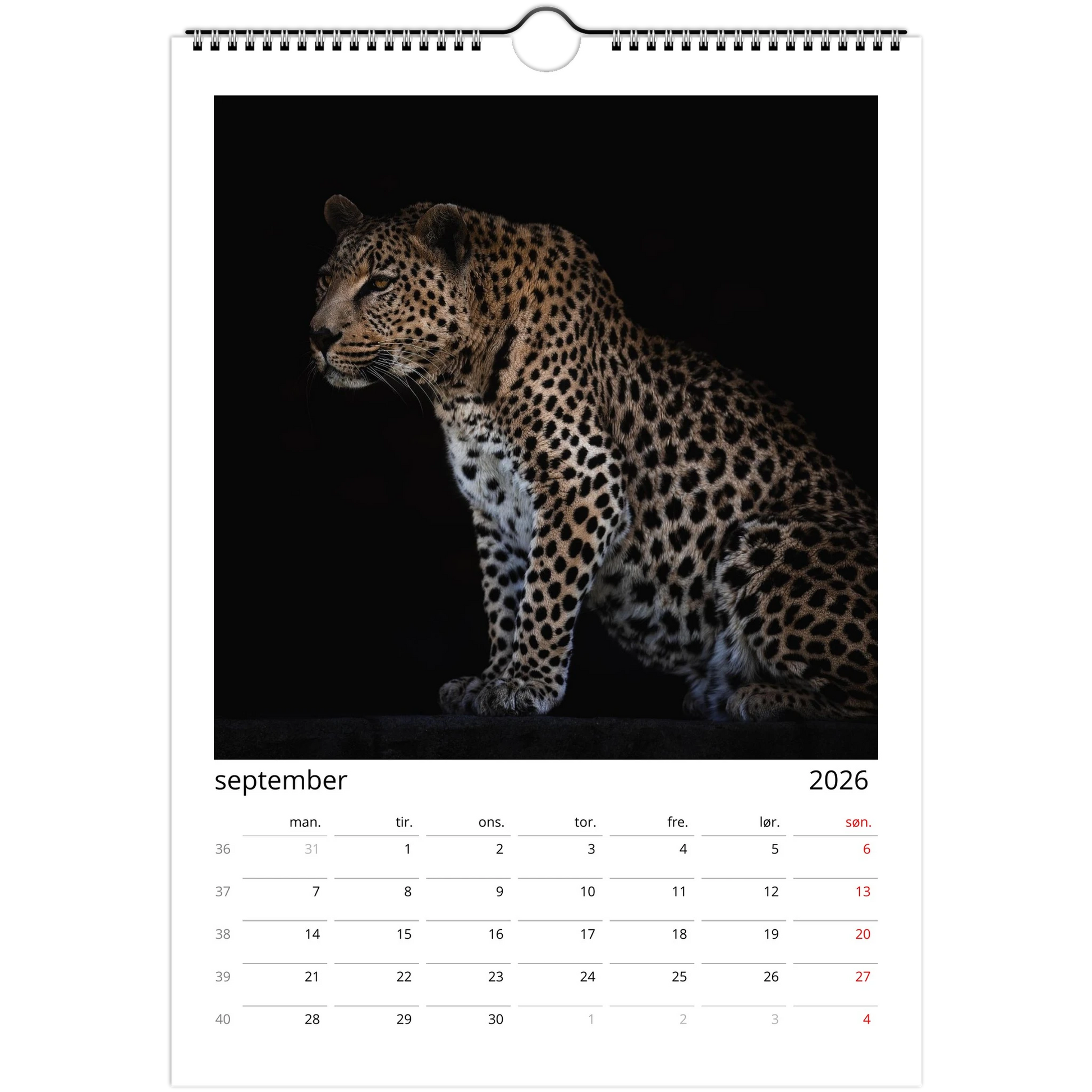 edc14b33-a460-4cea-8e5b-23339daf2365