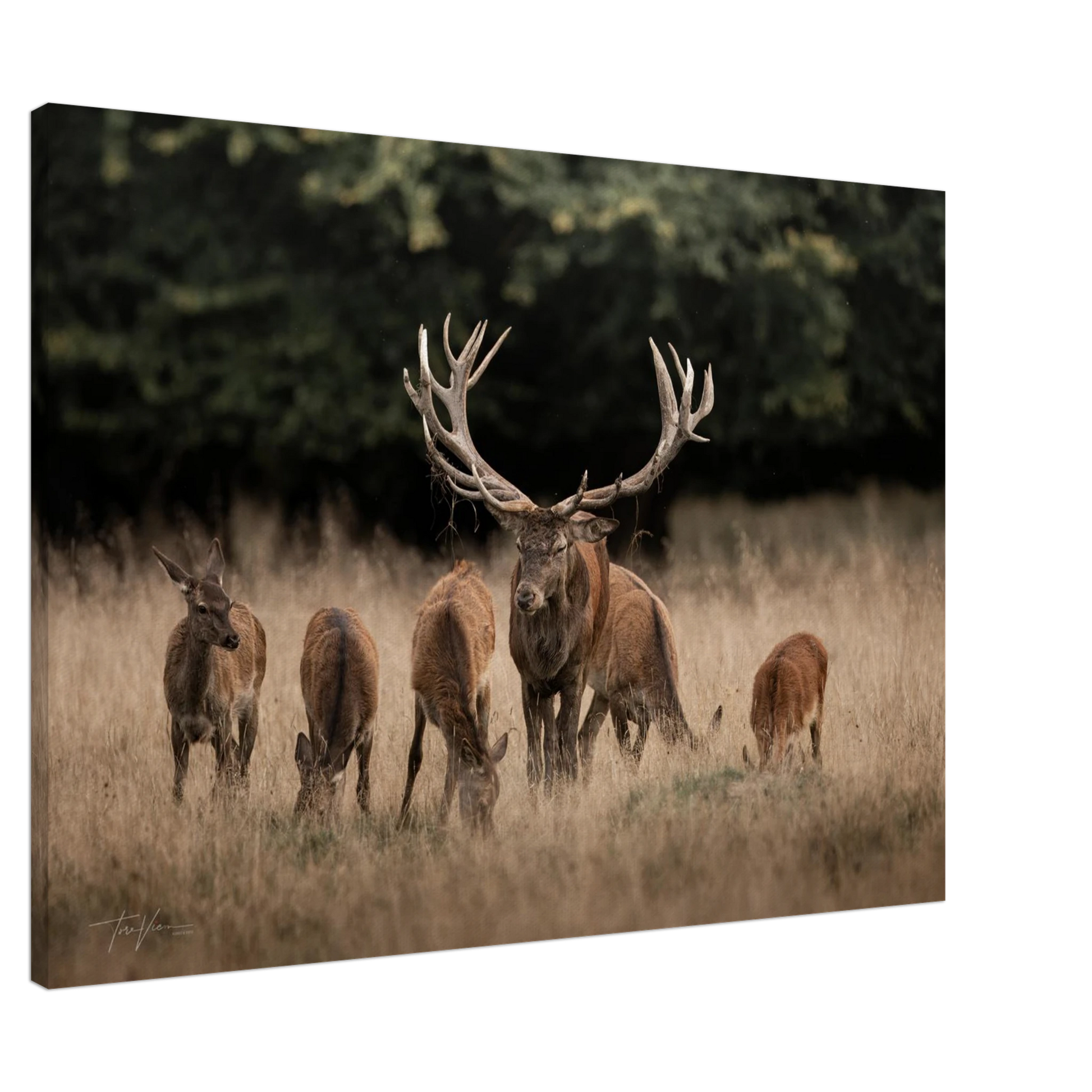 ee5bdbf4-a3ba-4b4d-89b7-6cdb12657d54