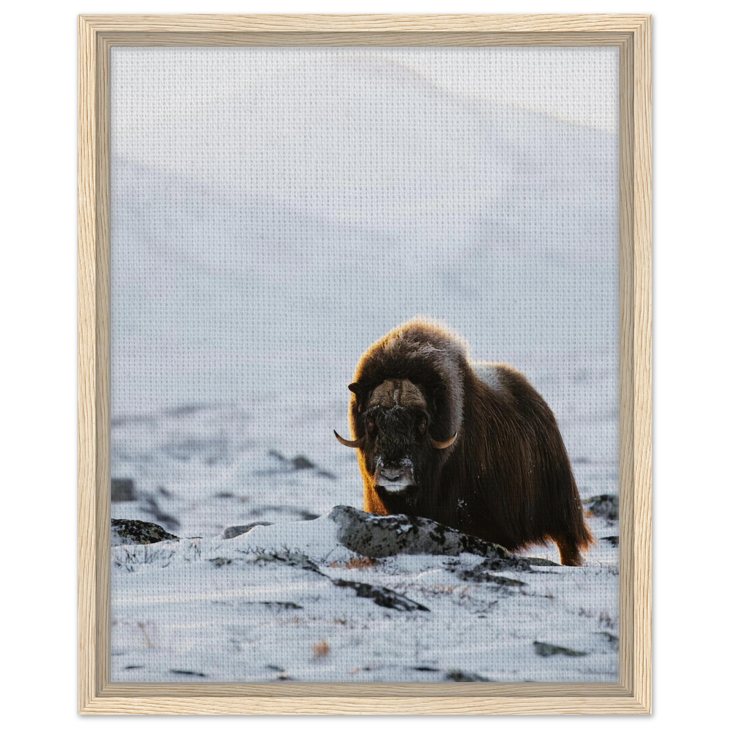 f05aef2e-4f60-4d2c-a32d-439ab87c6a4b