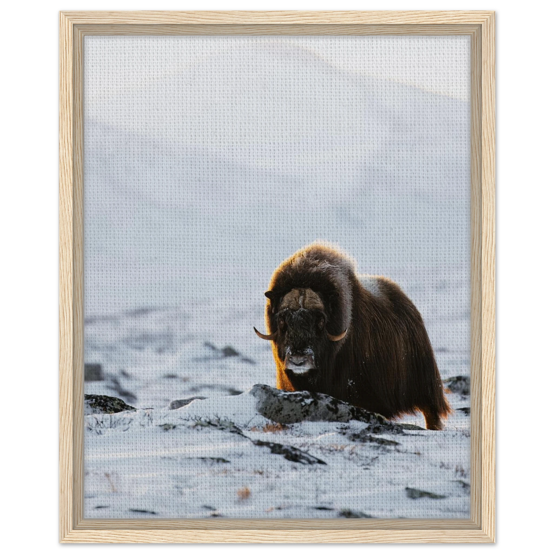 f05aef2e-4f60-4d2c-a32d-439ab87c6a4b