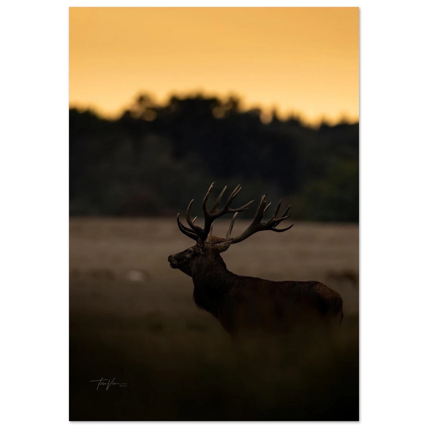 f4b7e90a-9cbe-4045-9919-0f6a3f2fc005