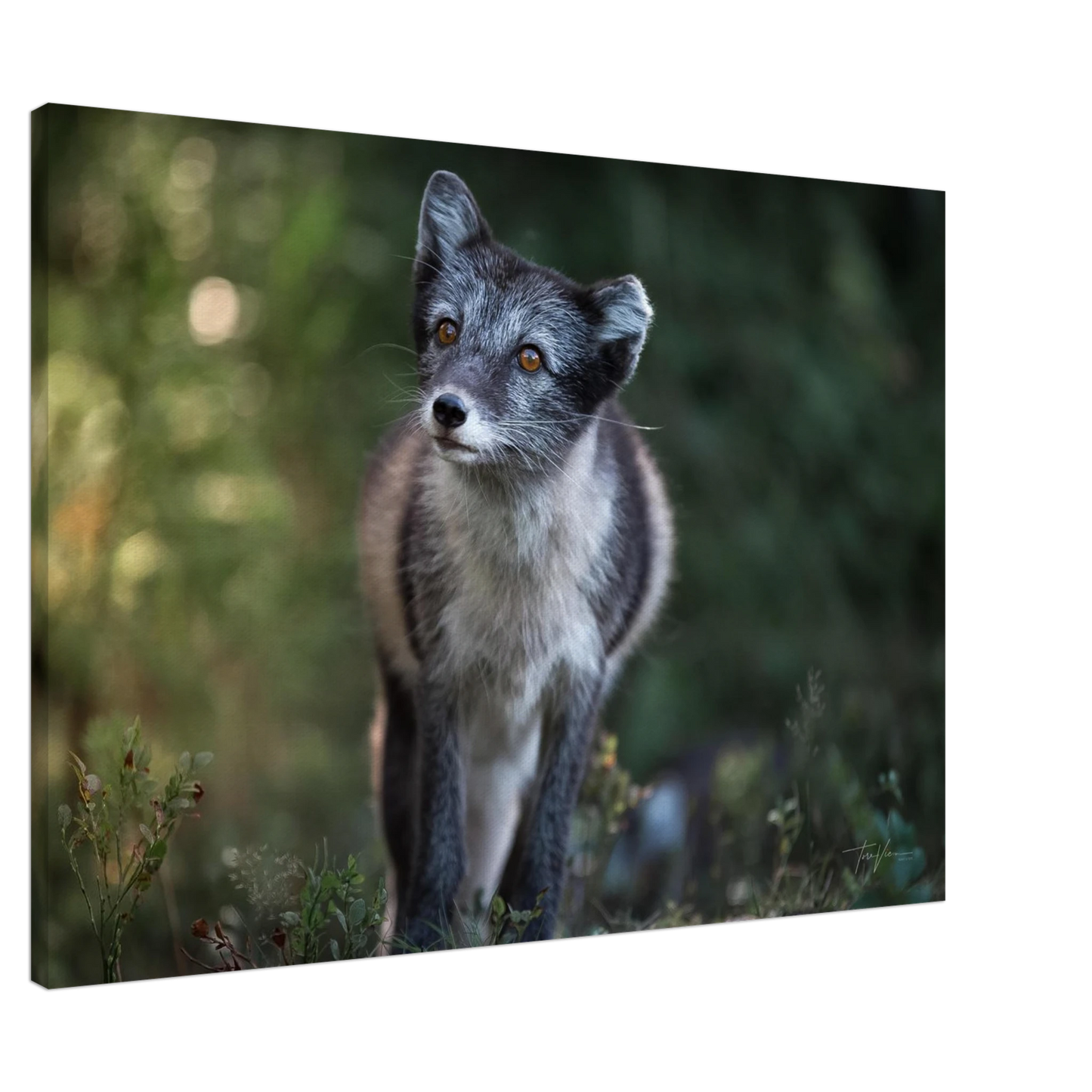 f54222fe-25b4-48e2-8aa6-3b743f864e1a