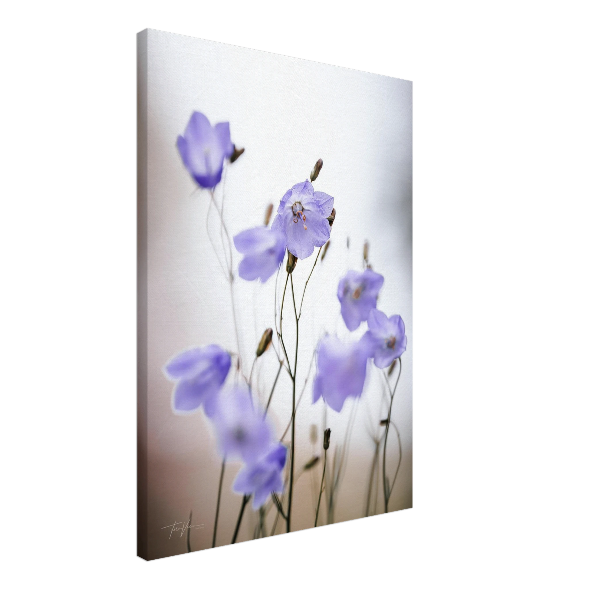 f58a0ecd-4215-4b27-87eb-97d13340853f