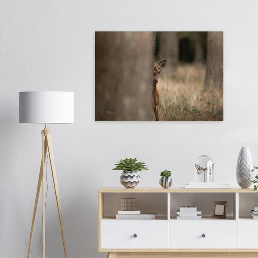 f67a32c0-8b0f-47bd-833c-db7f00b907b3