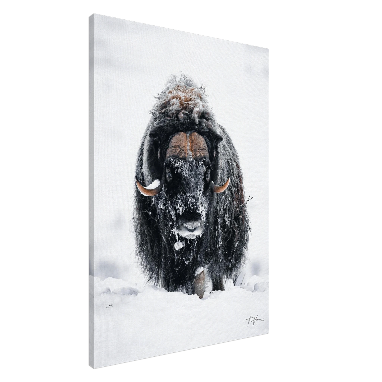 f807ef74-affa-414b-9ac0-a7b038762ca2