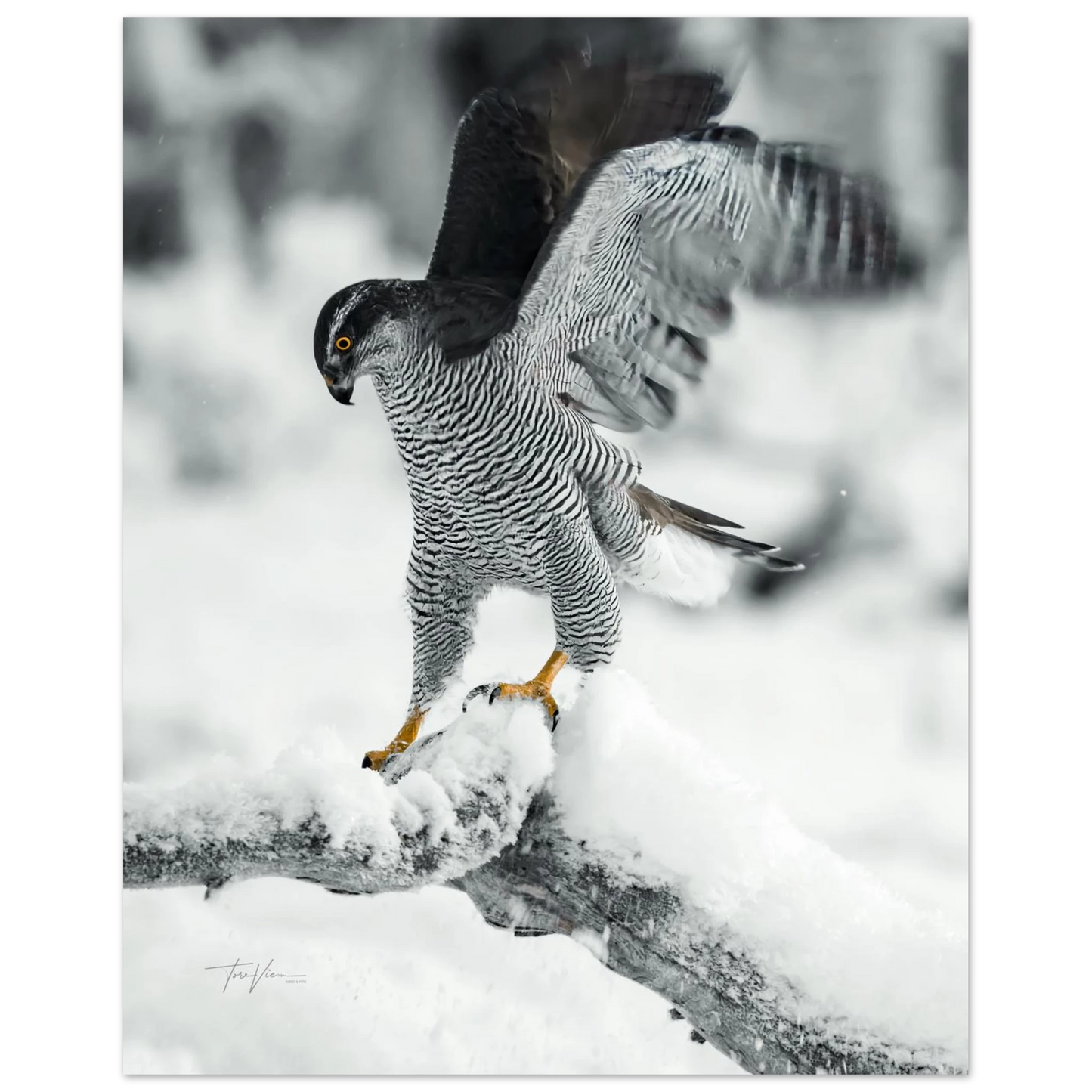 faf605f9-1211-4451-85d7-64ceb929bb13