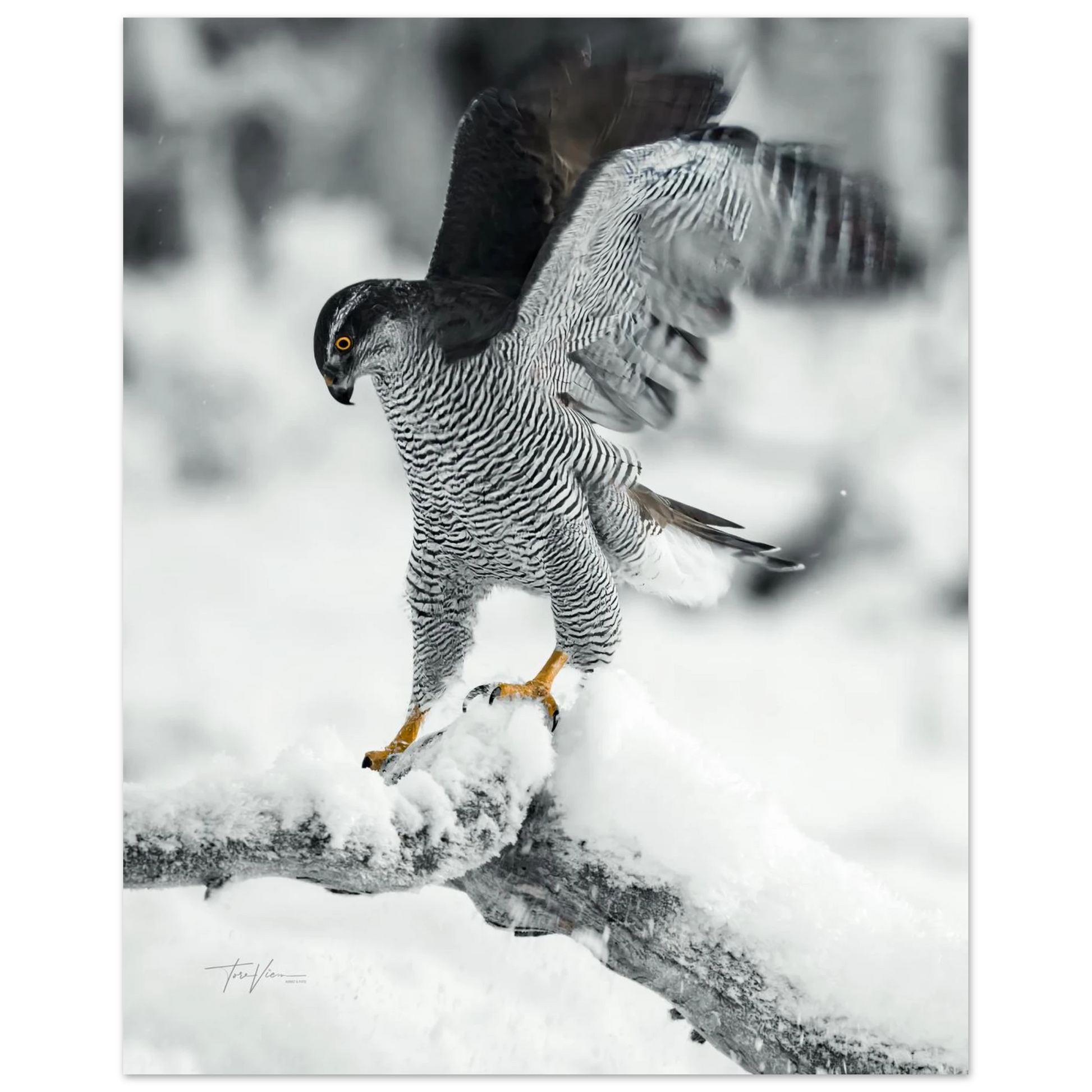 faf605f9-1211-4451-85d7-64ceb929bb13