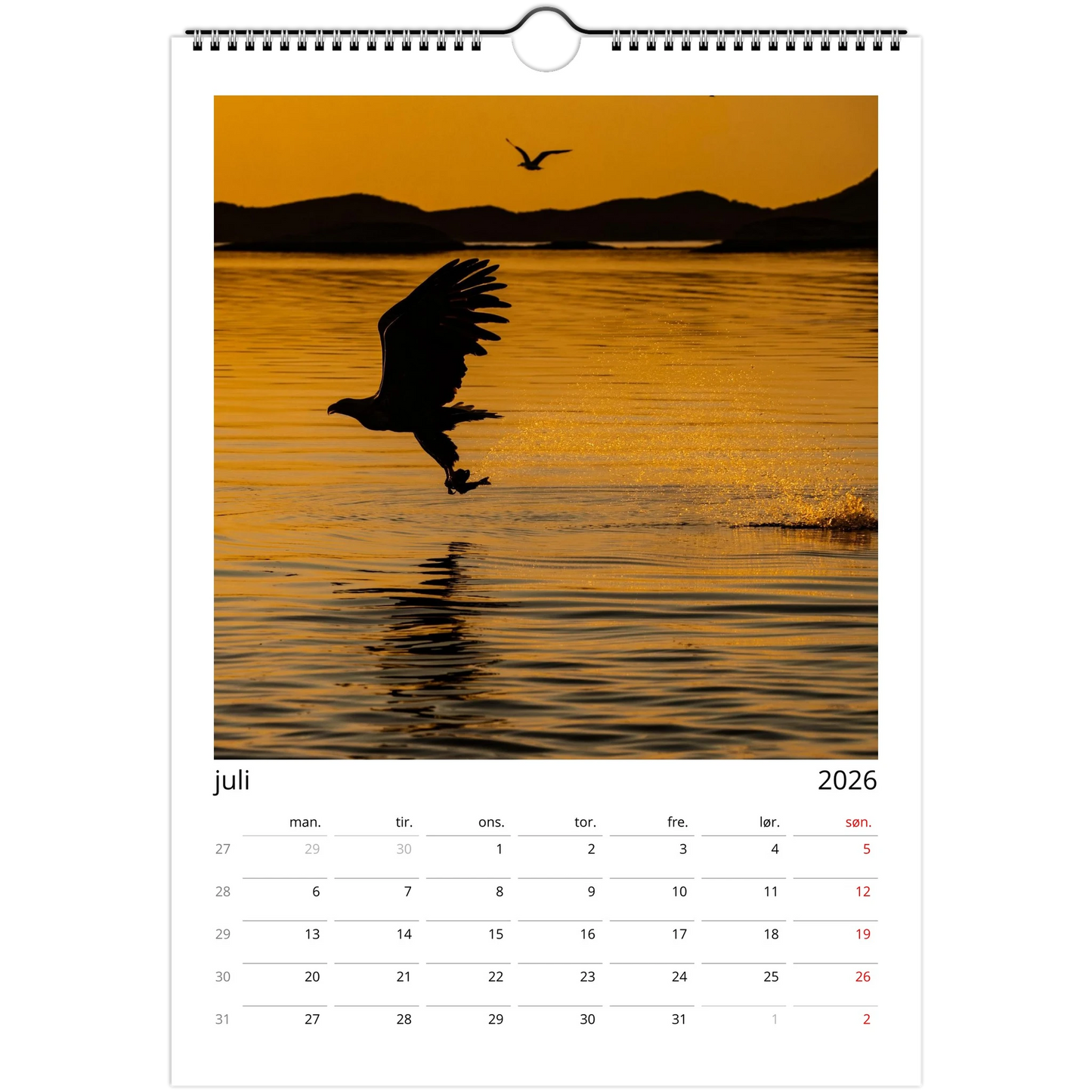 fc3c3095-3935-44cc-9ca6-31f9344c25e8