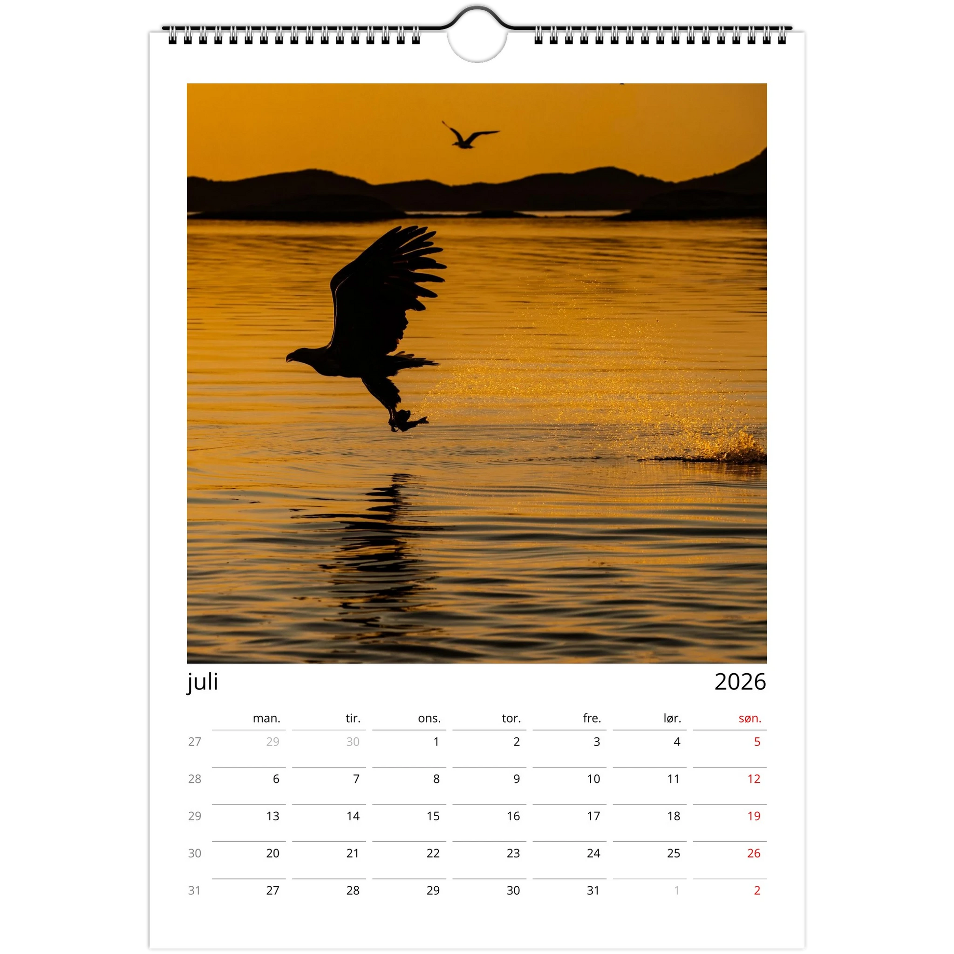 fc3c3095-3935-44cc-9ca6-31f9344c25e8